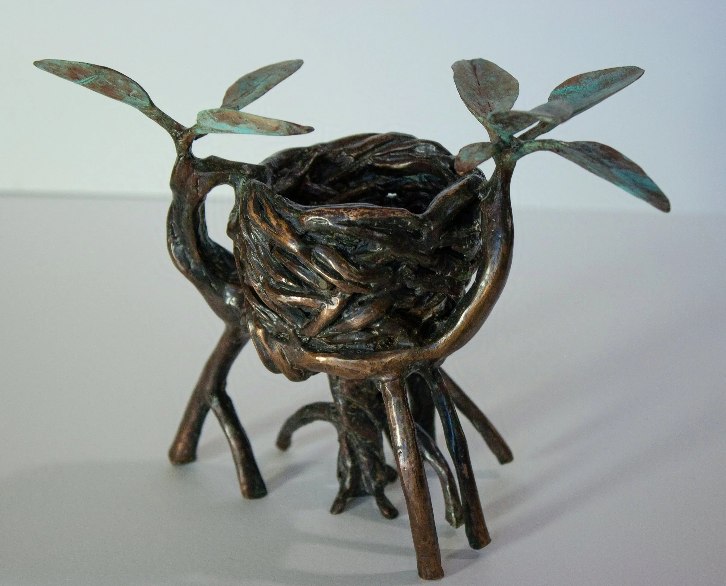 "Mangrove Cup"