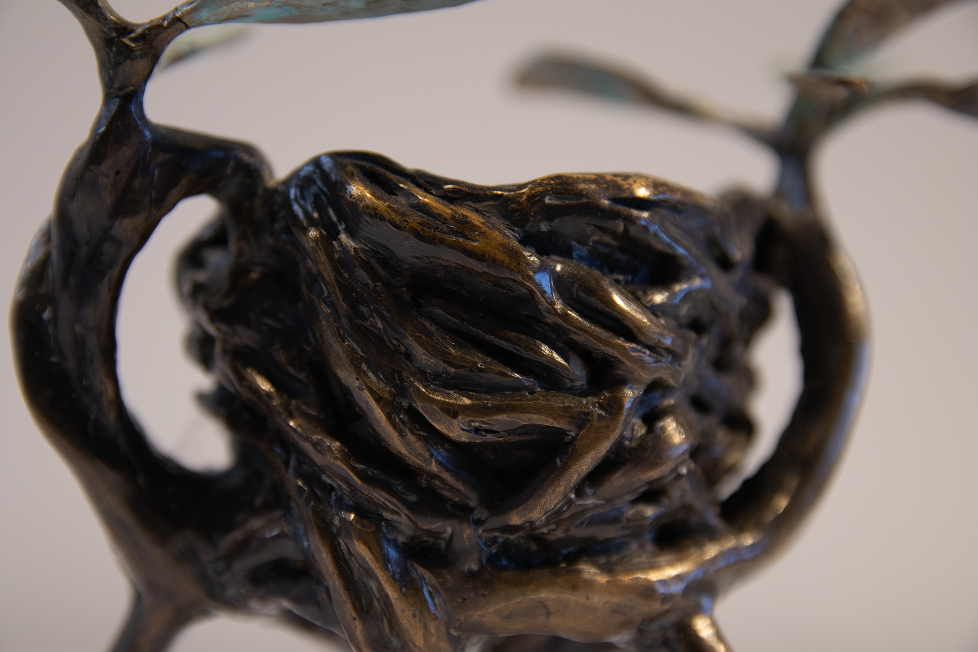 "Mangrove cup" detail image