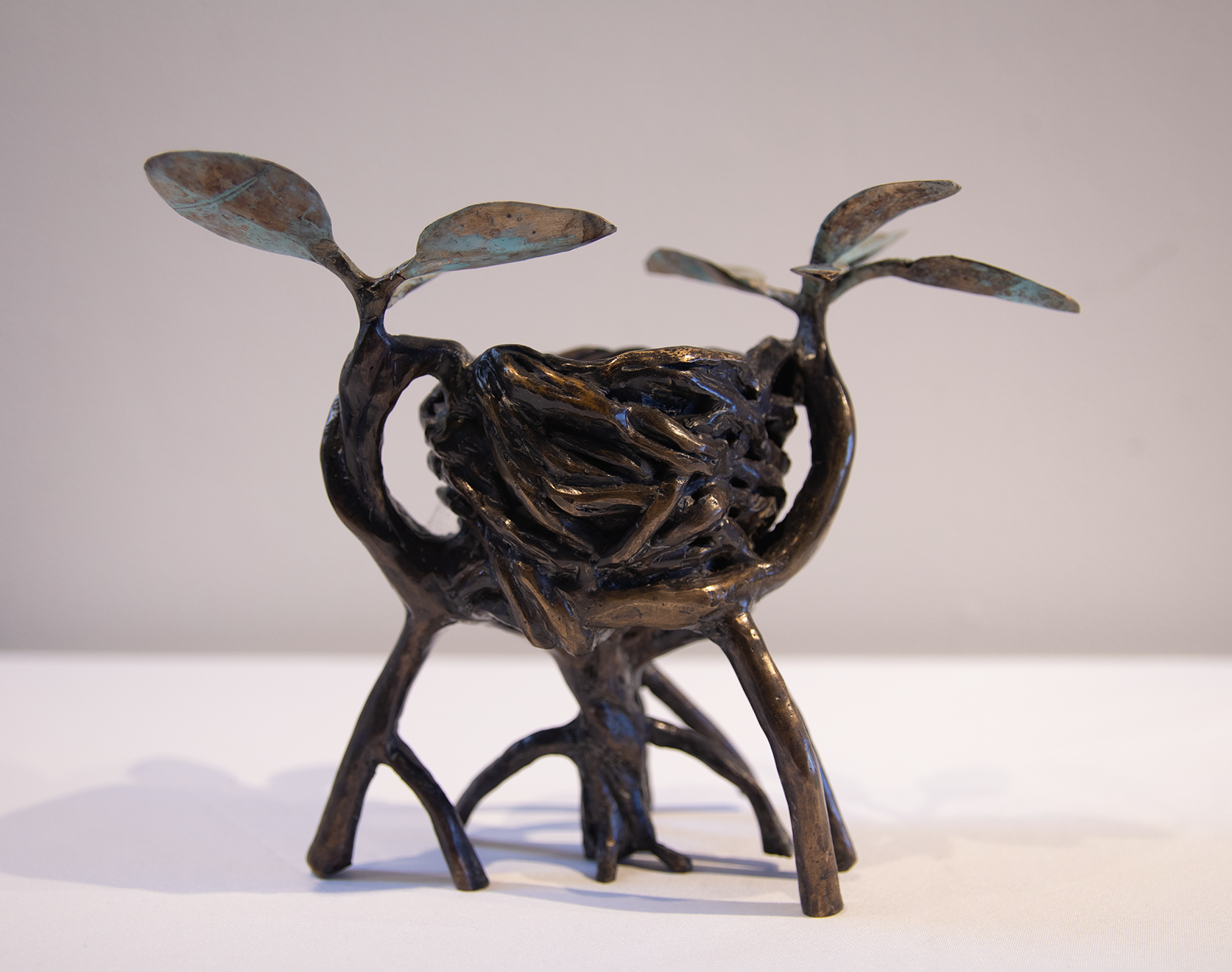 "Mangrove cup"