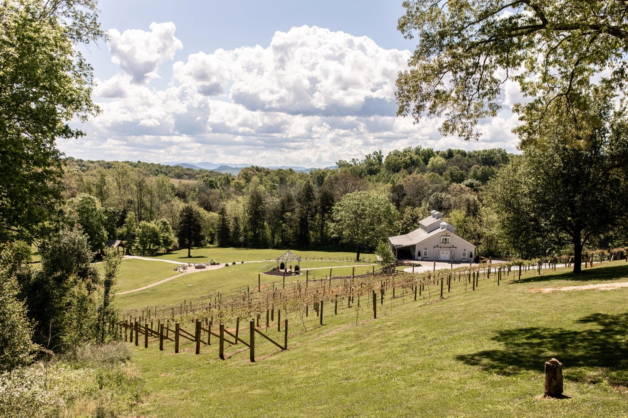Scenic view from the Manor at Ramble Creek, overlooking vineyard rows, the white barn venue, outdoor ceremony space, rolling green hills, and wooded Tennessee countryside.