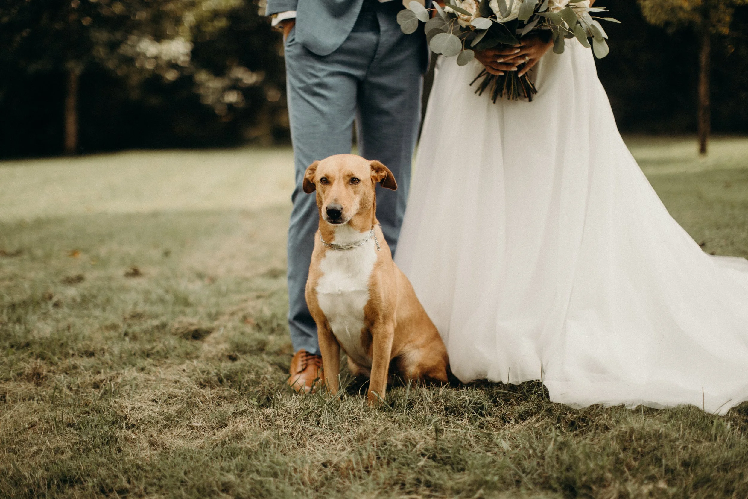 makenna-lautner-wedding-day-dog-ramble-creek.jpg
