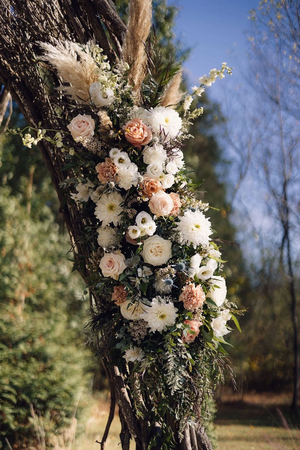 Outdoor wedding arbor floral arrangement with blush and ivory roses, white ranunculus, white dahlias, blue thistle, greenery, and pampas grass