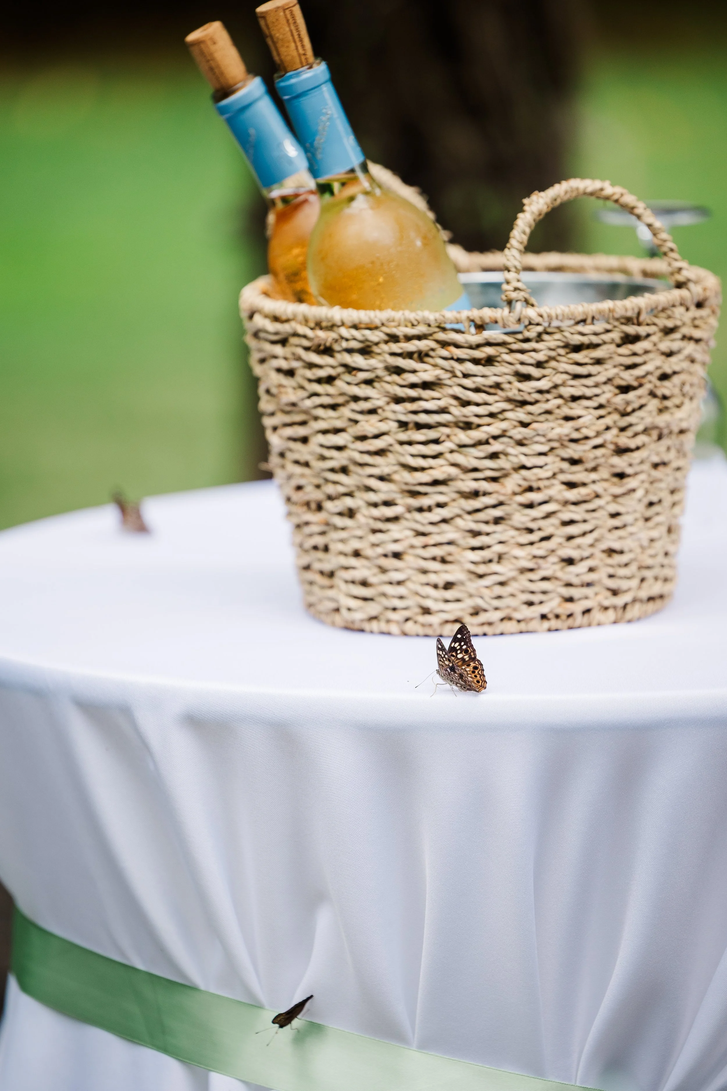 Butterflies resting on a white cocktail table with chilled drinks at an outdoor Ramble Creek wedding ceremony in Tennessee.