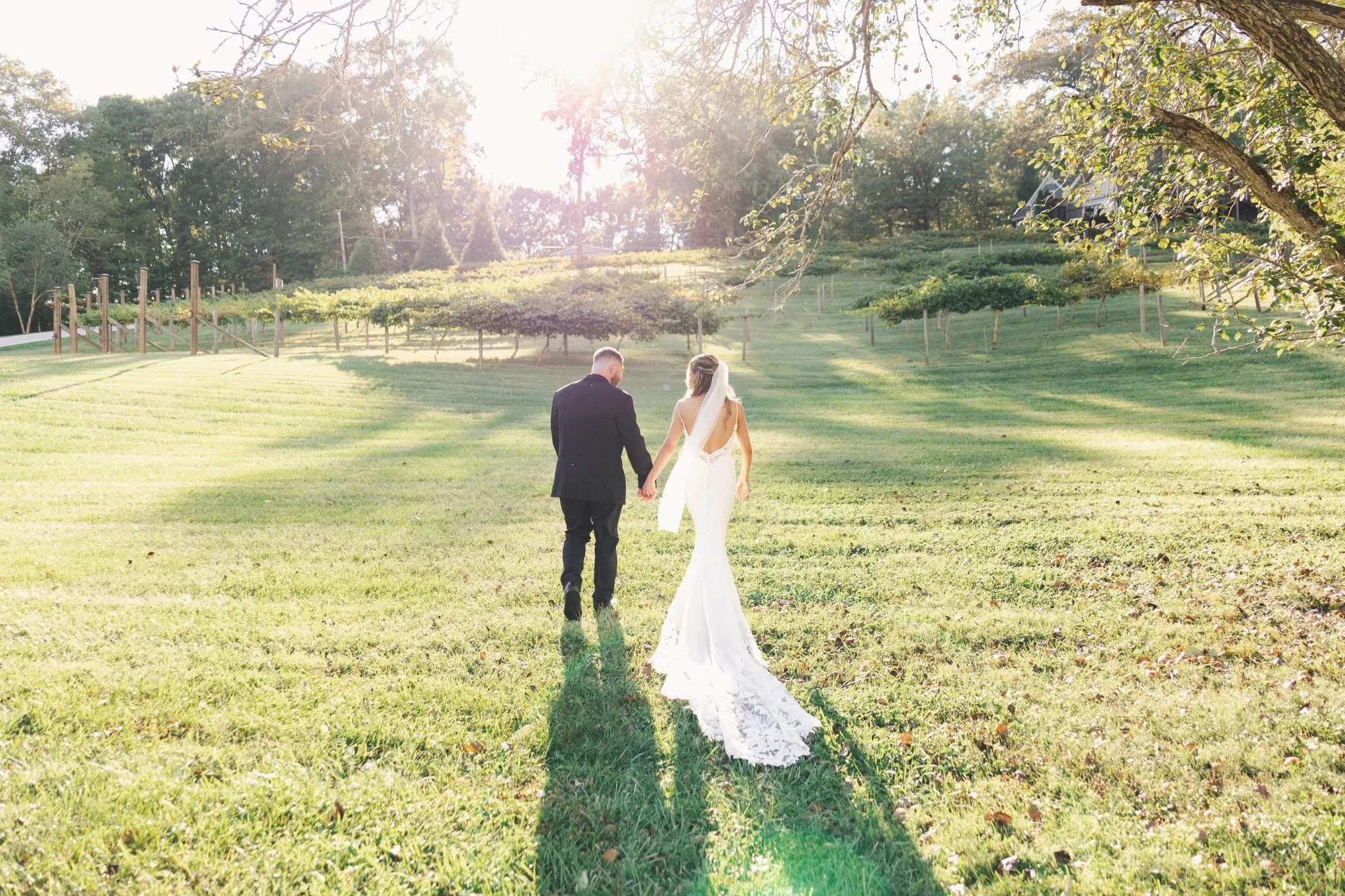 ramble-creek-golden-hour-vineyard-wedding-walk.jpg