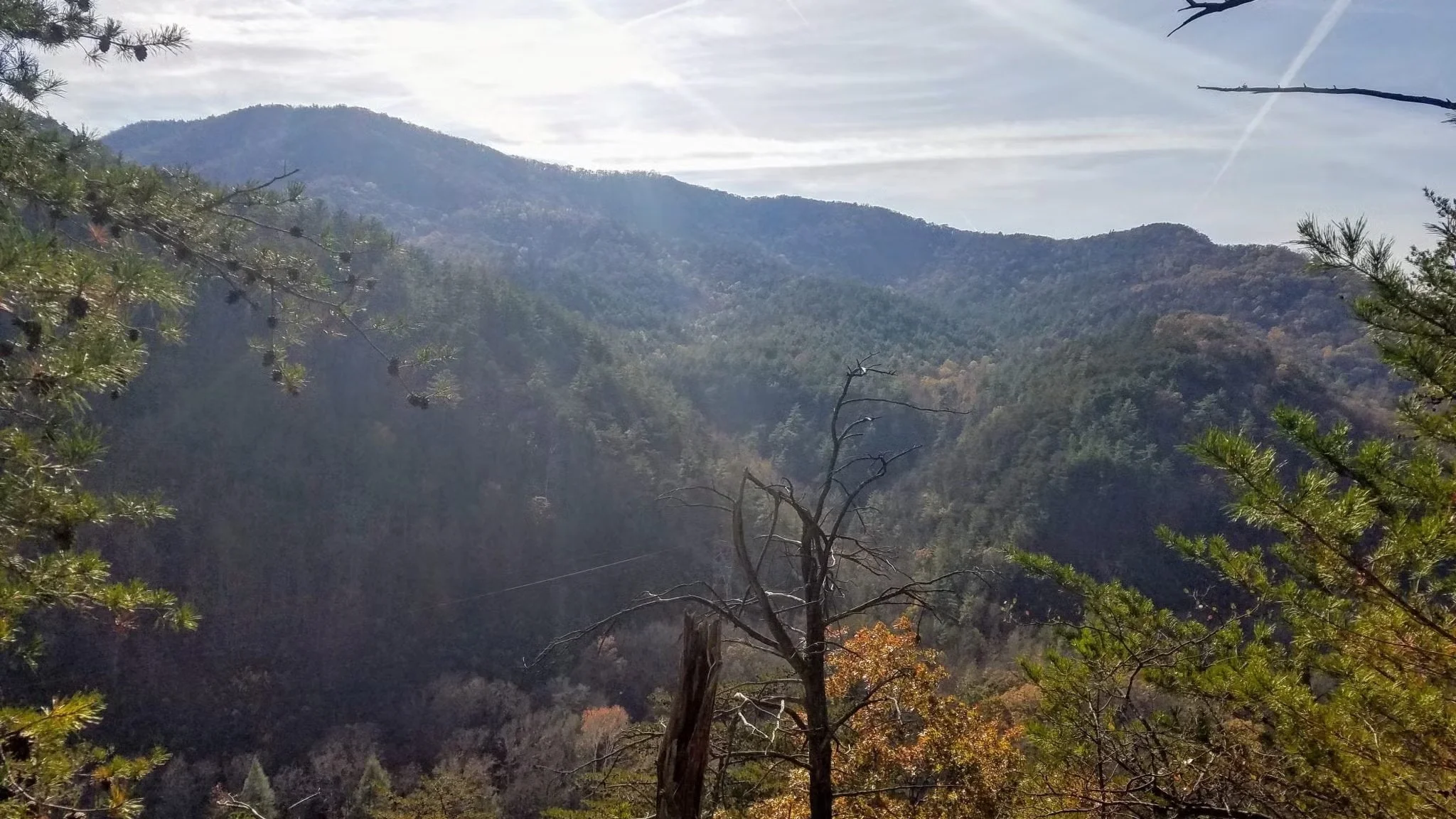Pine branches frame a view across Starr Mountain’s wooded ridges, where autumn gold mingles with evergreen slopes. Lace up your hiking boots and spend a few hours exploring East Tennessee on foot.