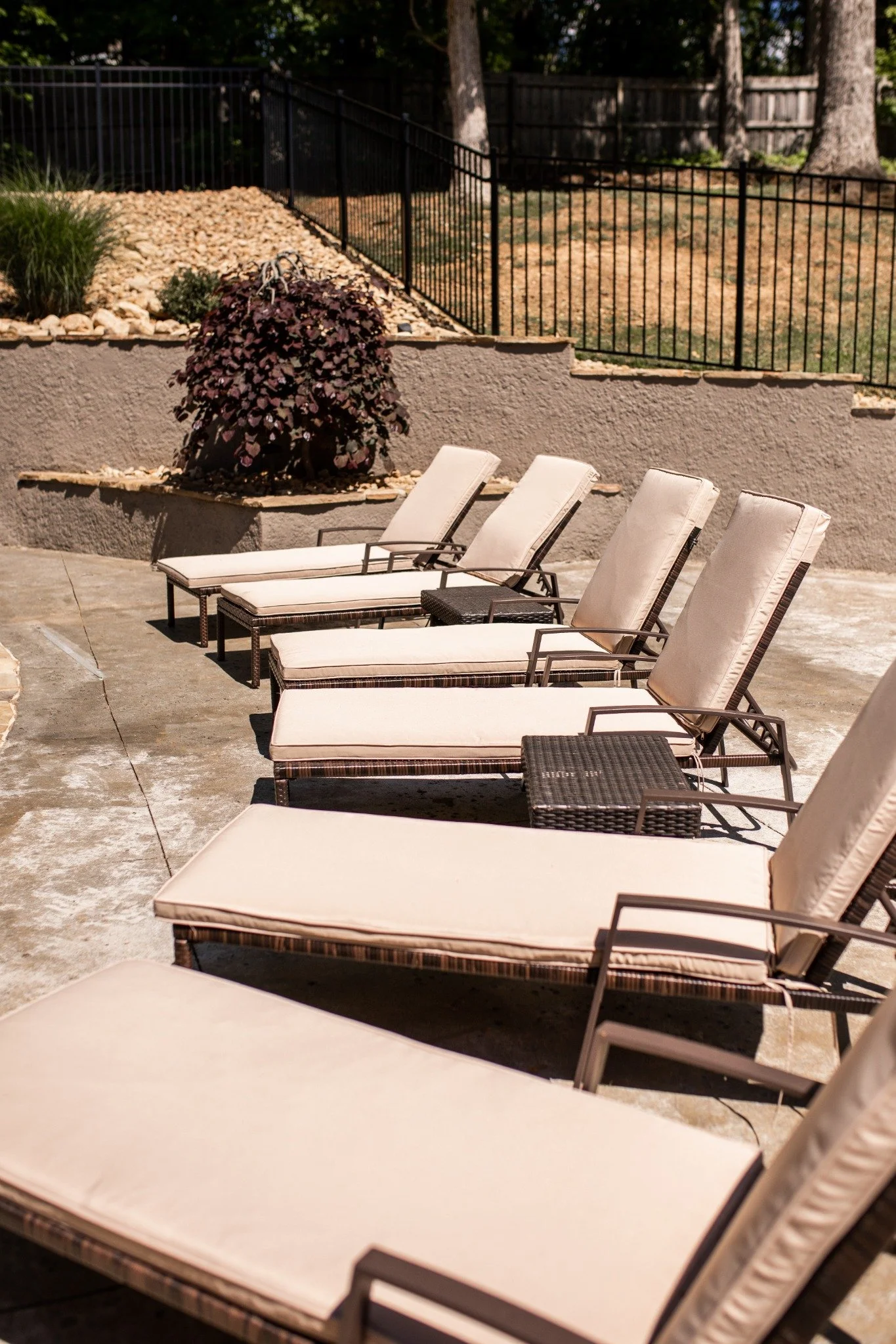 Poolside lounge area at the Manor onsite accommodation at Ramble Creek, featuring cushioned chaise lounges, side tables, landscaped greenery, and a private outdoor setting.