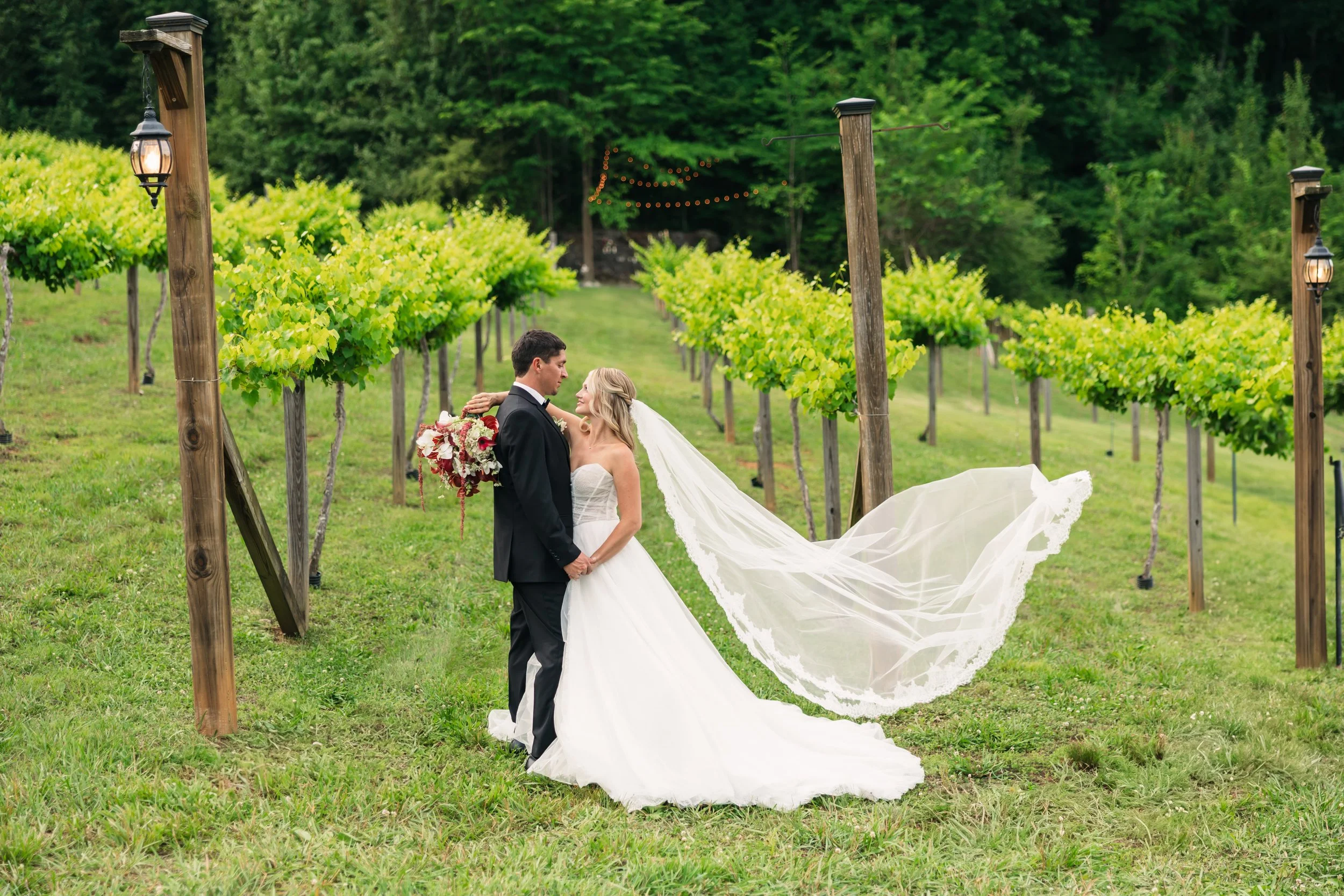 Bride and groom posing in the vineyard at Ramble Creek Wedding Venue with a flowing veil, lush greenery, and romantic Tennessee scenery