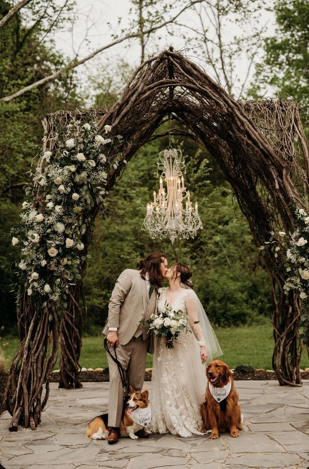A couple dressed in wedding attire kissing under a rustic twig arch decorated with white flowers, accompanied by two dogs, one corgi and one retriever, in an outdoor setting with green foliage and a chandelier hanging above.