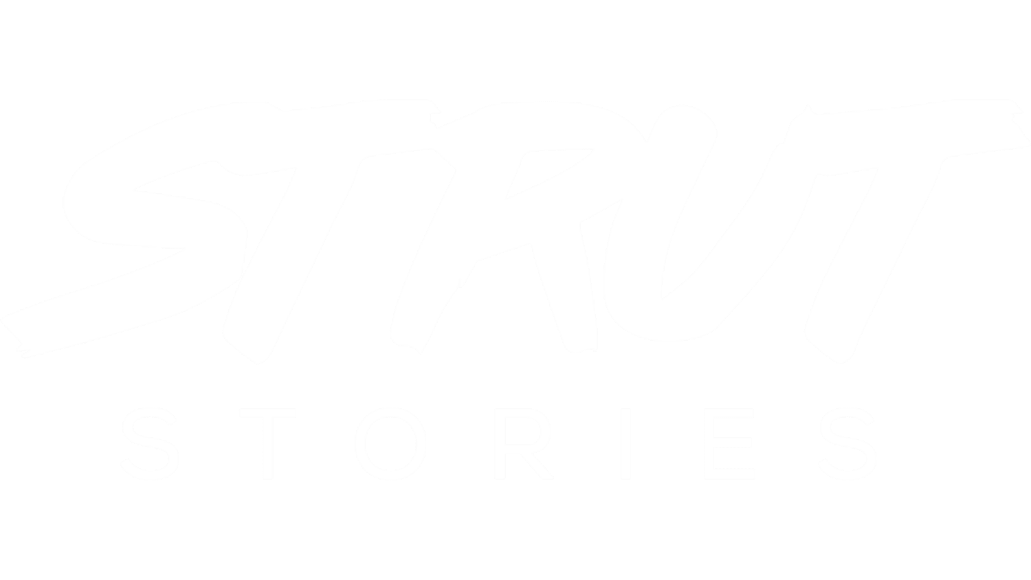 Content Marketing and Strategic Communications | STRUT Stories