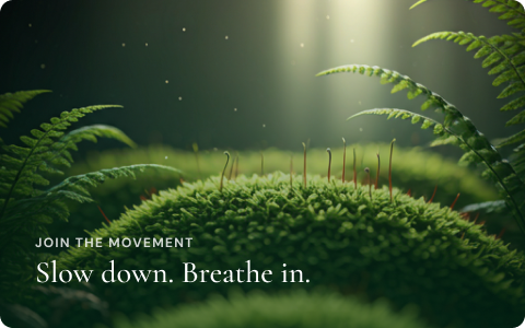 Close-up of moss with tiny sporophyte stalks in a lush green forest, sunlight shining through, with the text 'Join the movement. Slow down. Breathe in.'