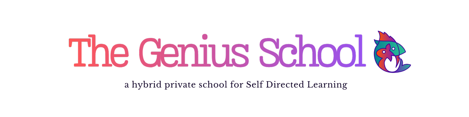 the genius school