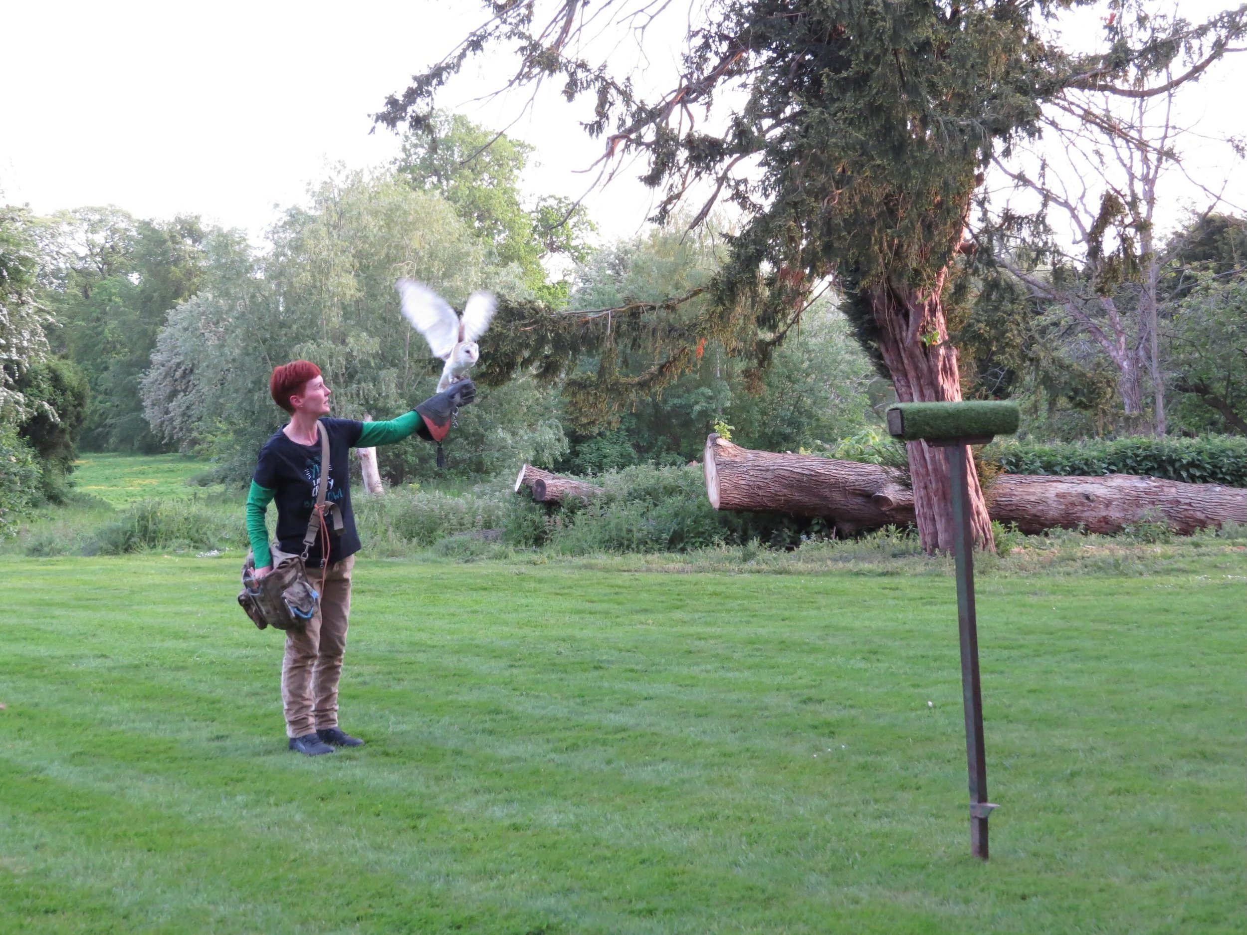 What a treat I had on Friday evening. 

At Blackwell Grange, Darlington, Tracey Iceton launched her latest book, Sparky.

We were treated to an insight into the fascinating story of how Tracey met this little barn owl in an animal sanctuary.

At firs