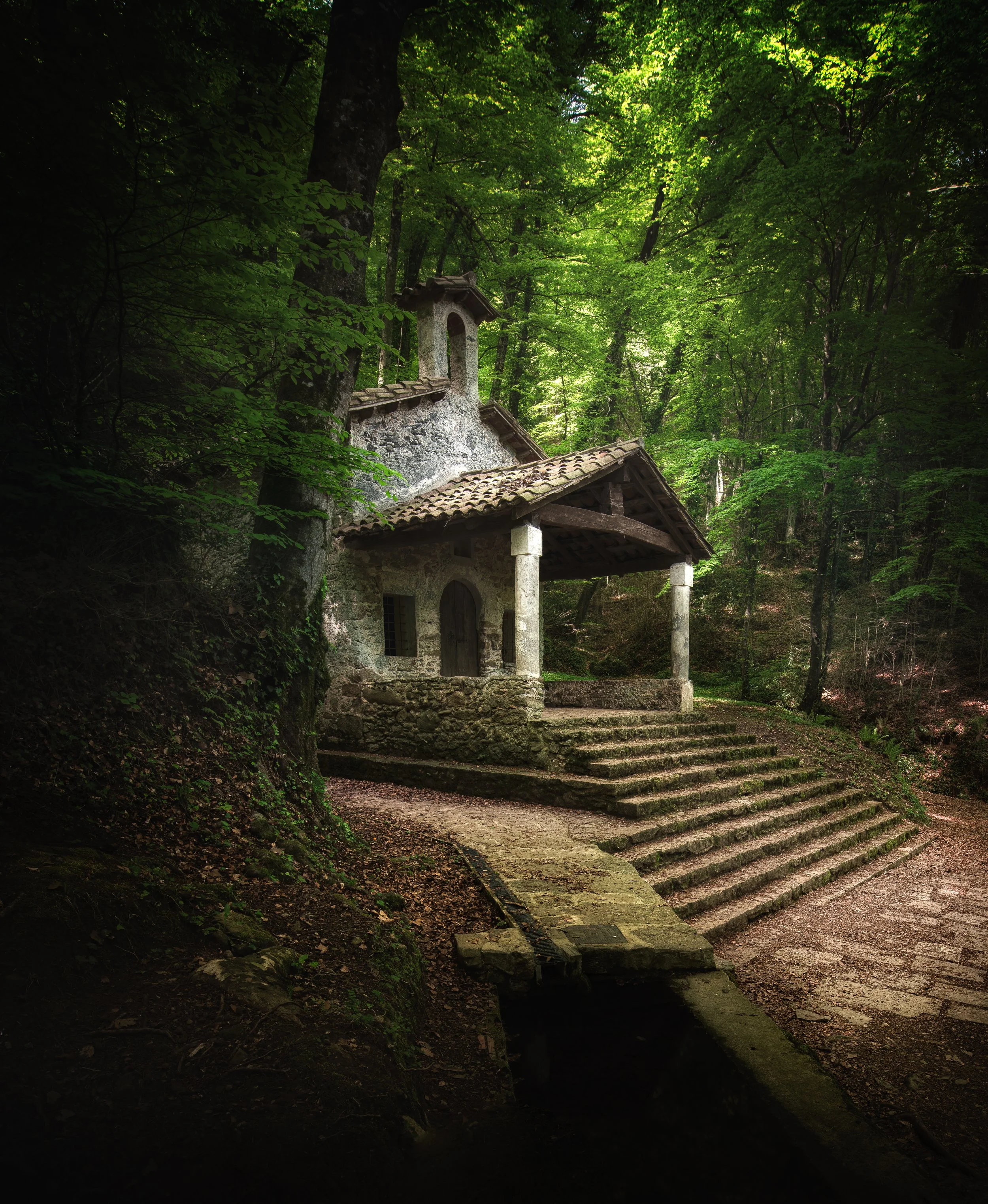 Ancestral Shelter