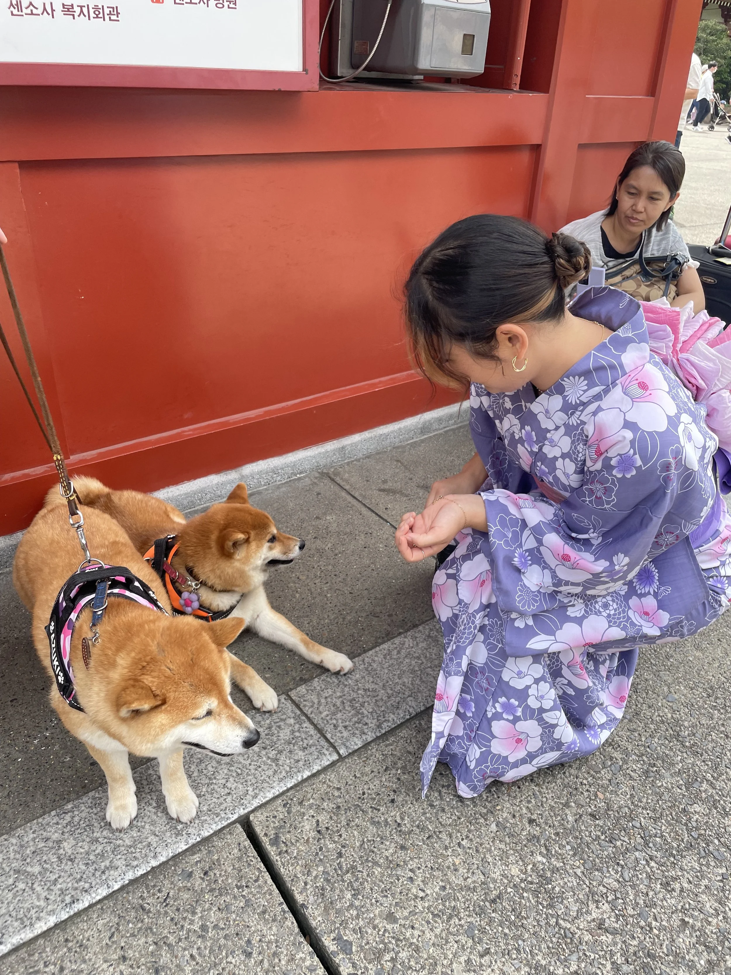 IMG_6654.jpeg
