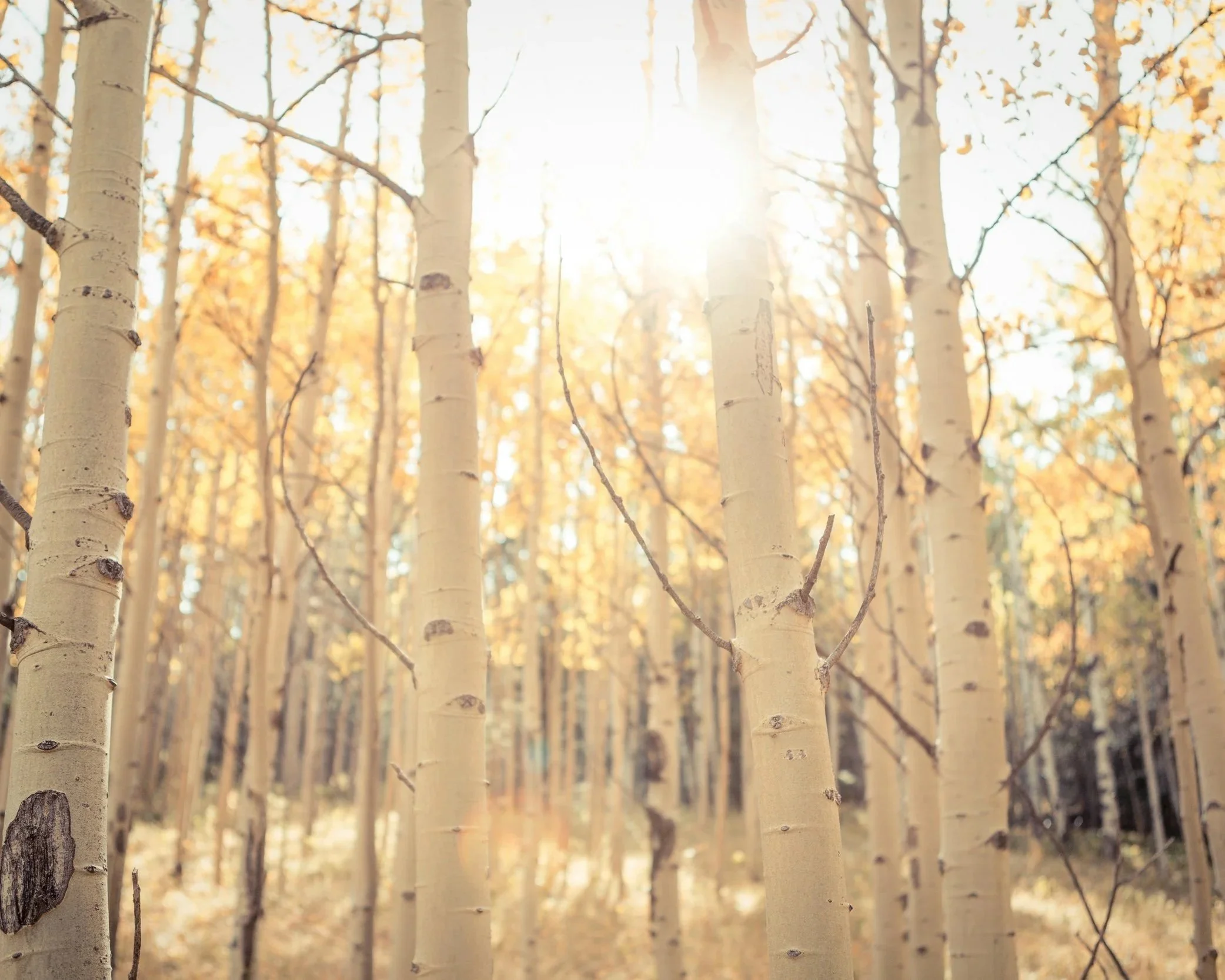 First Day of Fall