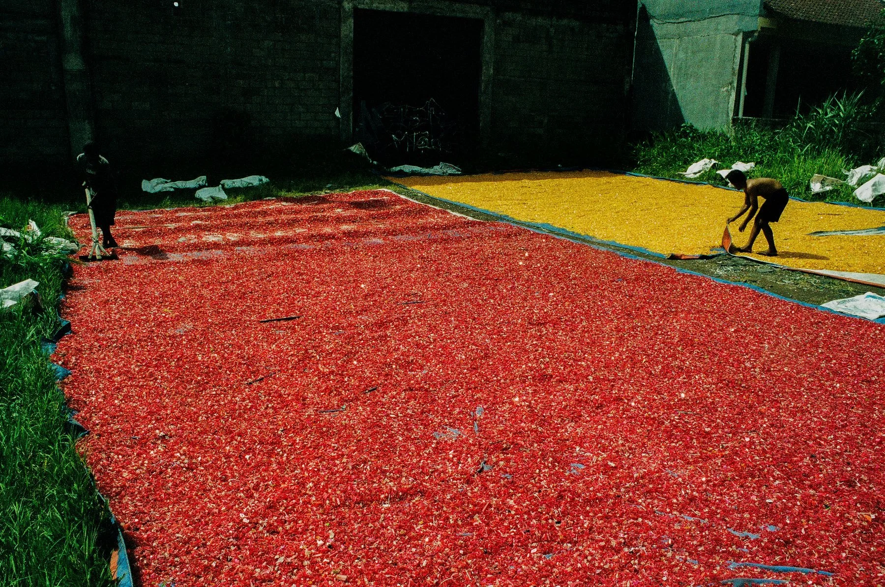 Canail Film Lab_640.jpeg