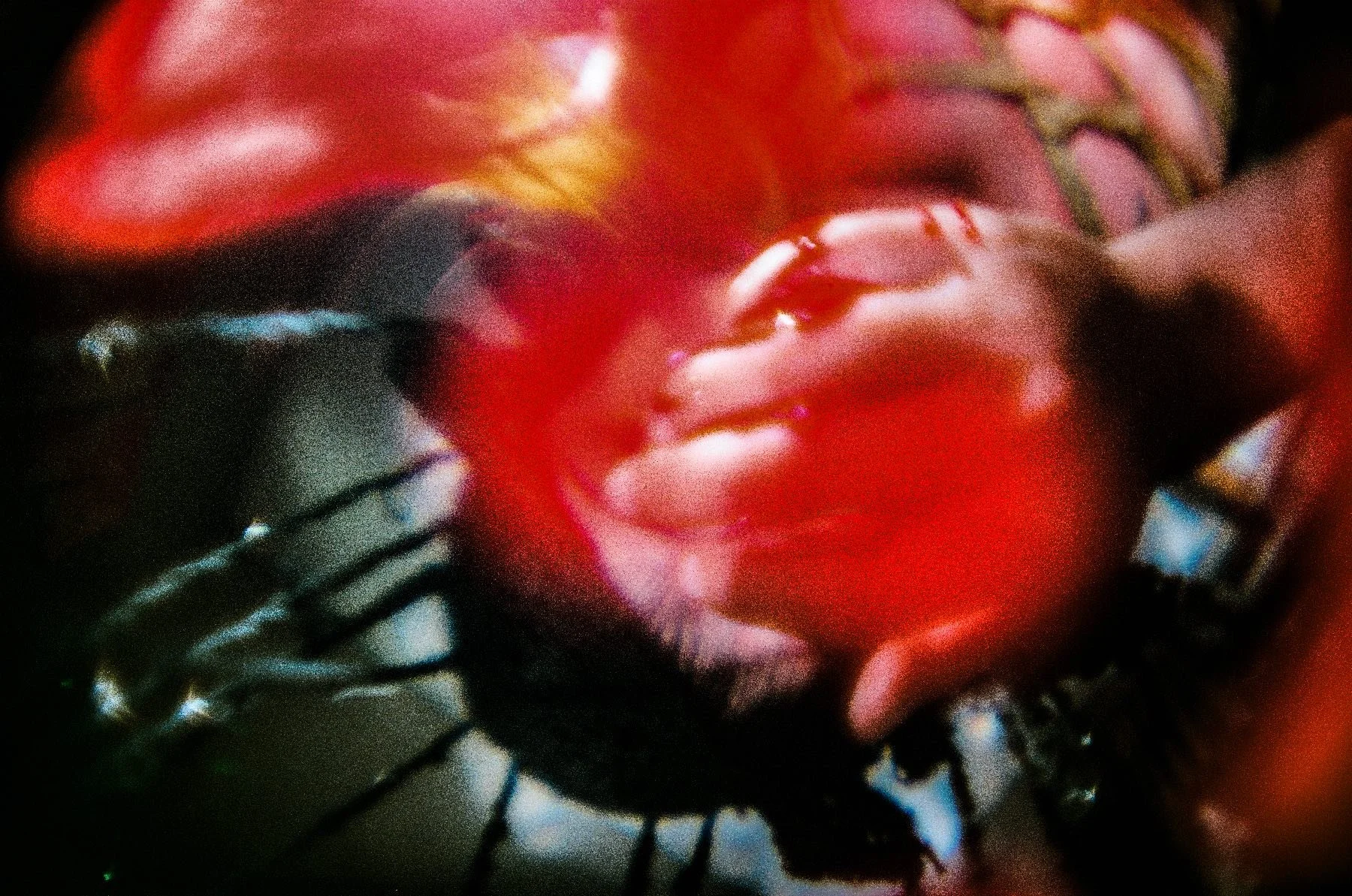 Untitled-155.jpeg