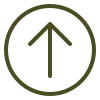 Scroll to Top
