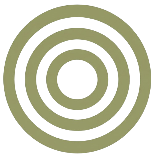 Target bullseye with concentric circles in green and black
