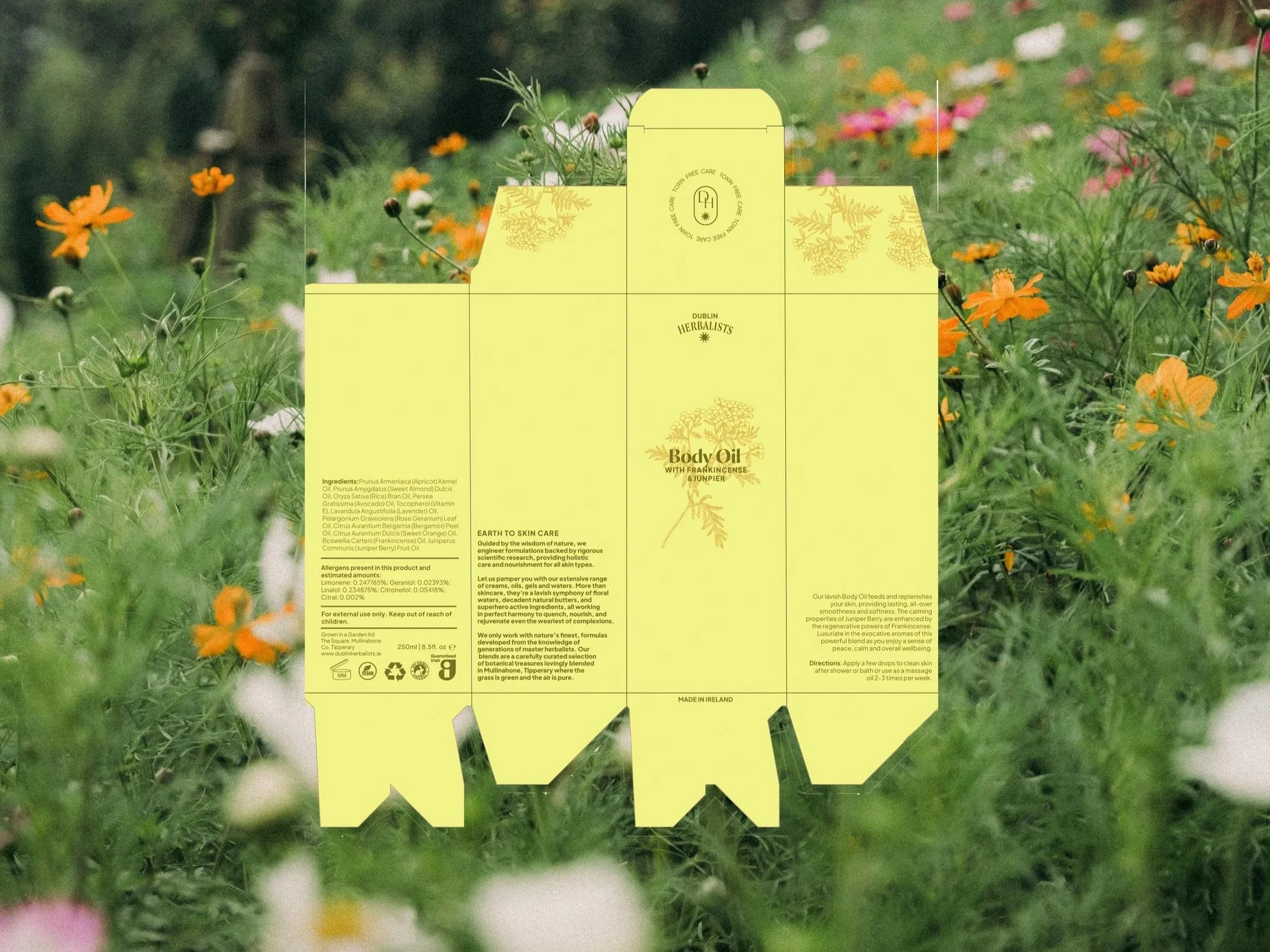 Box-mockup.jpg