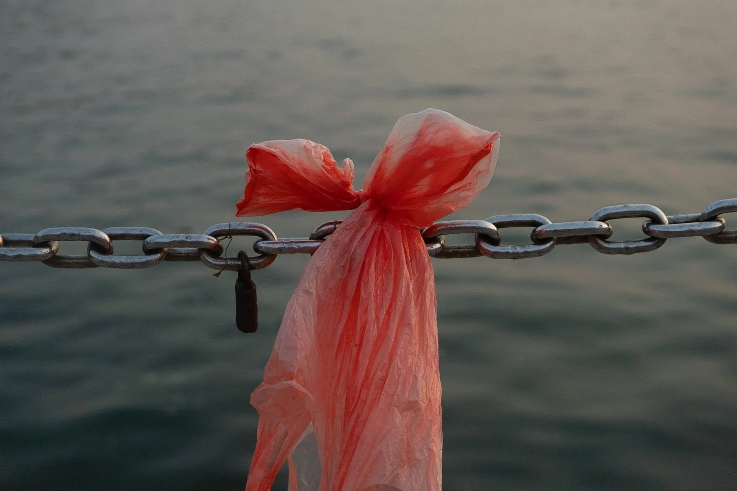 The Nice Things Photography-78.jpg