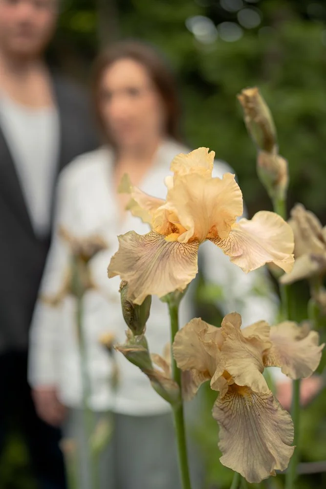 The Nice Things Photography-104.jpg
