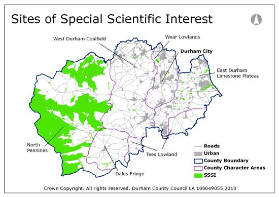 SSSIs and protected sites: What it actually means for homeowners