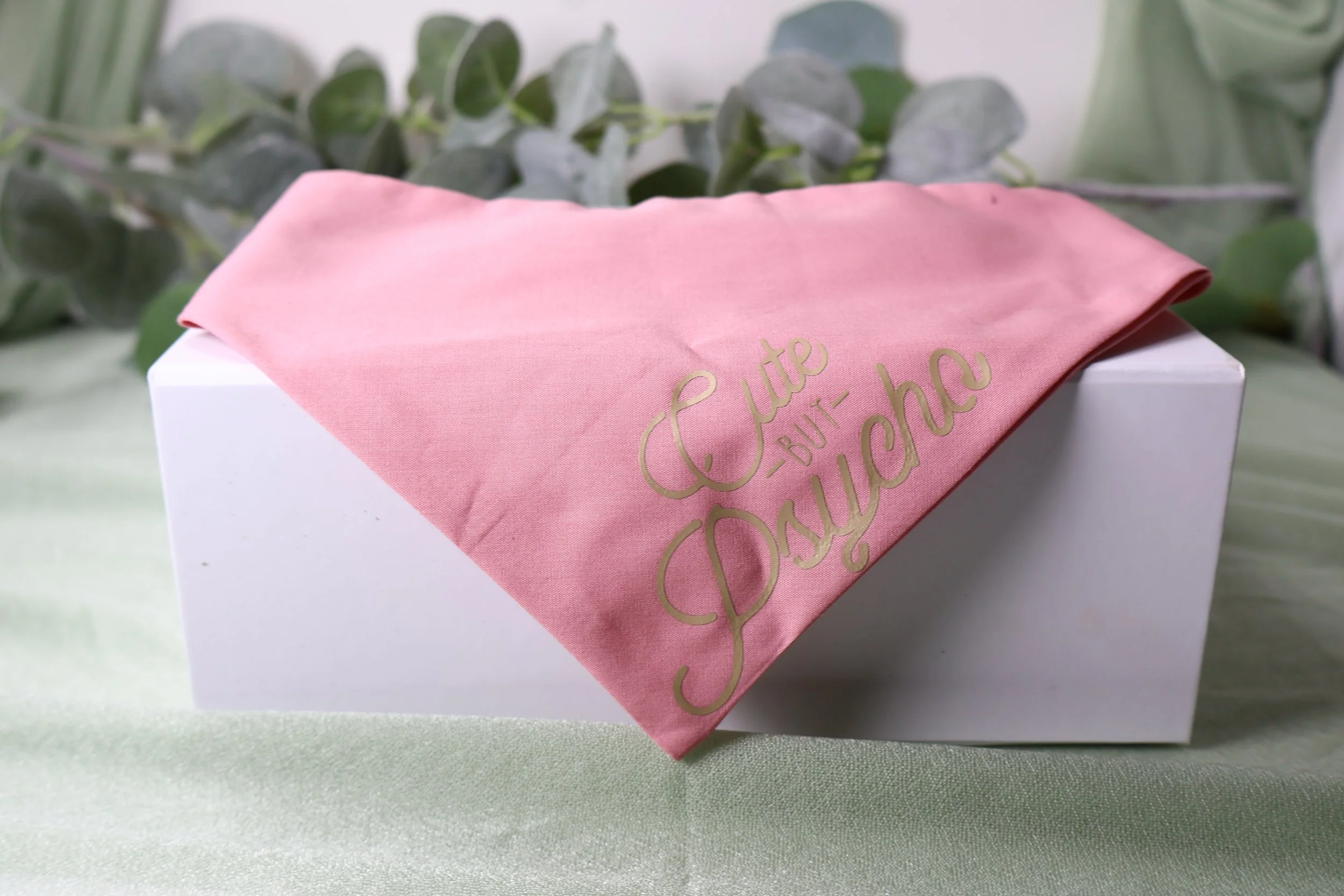Personalised 'Cute but Psycho' Dog Bandana