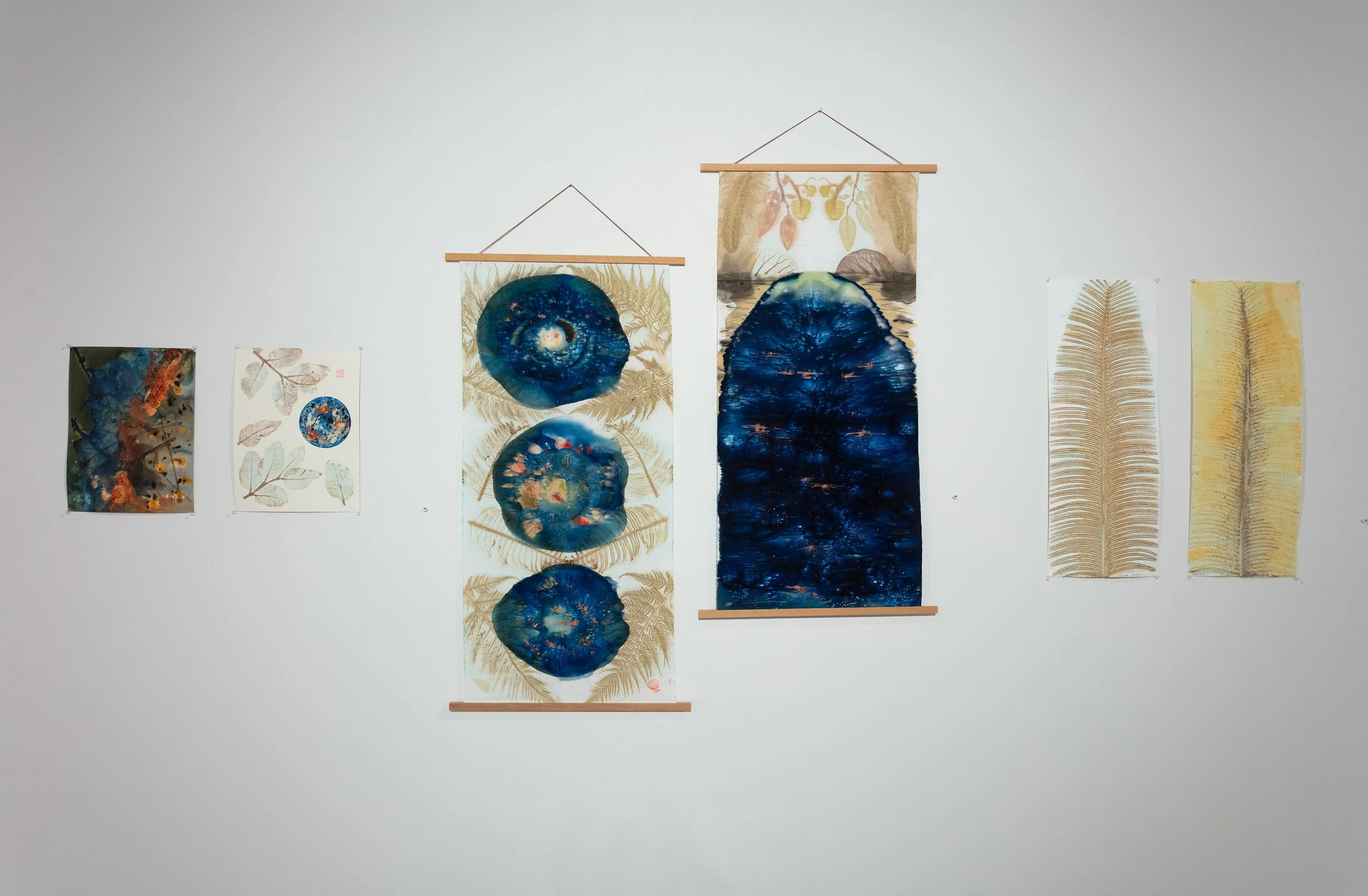 WaysOfSeeing Bush Kala-ParallelProjects-2026-photography Narelle Wilson6.jpg