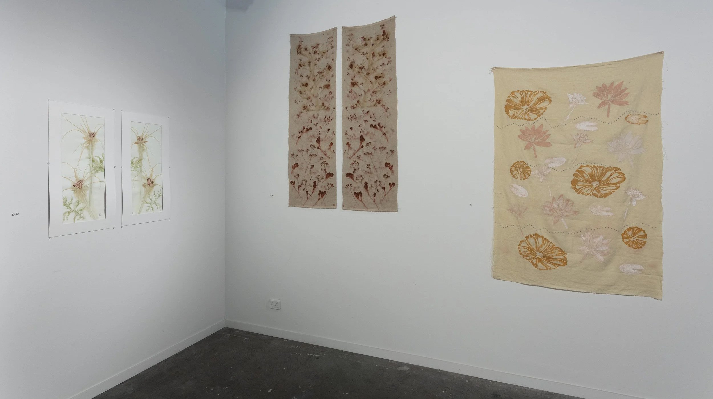 WaysOfSeeing+Bush+Kala-ParallelProjects-2026-photography+Narelle+Wilson10.jpg