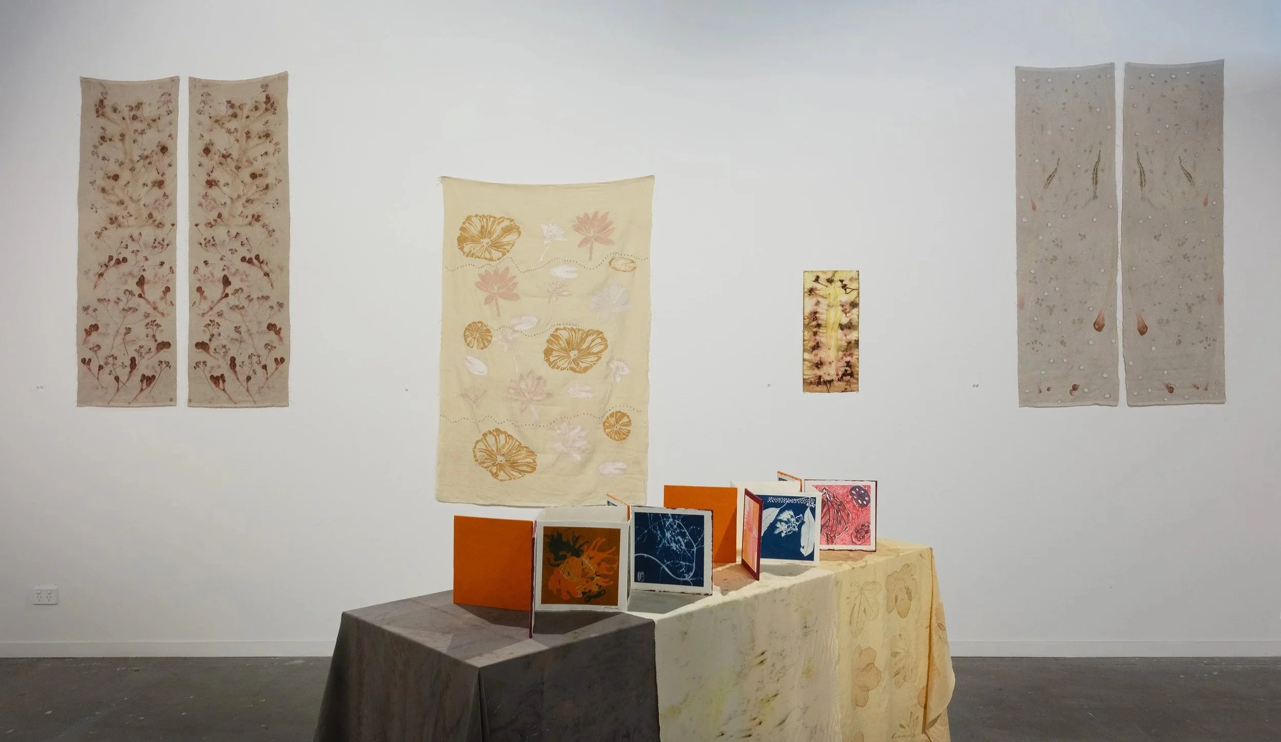 WaysOfSeeing+Bush+Kala-ParallelProjects-2026-photography+Narelle+Wilson8.jpg