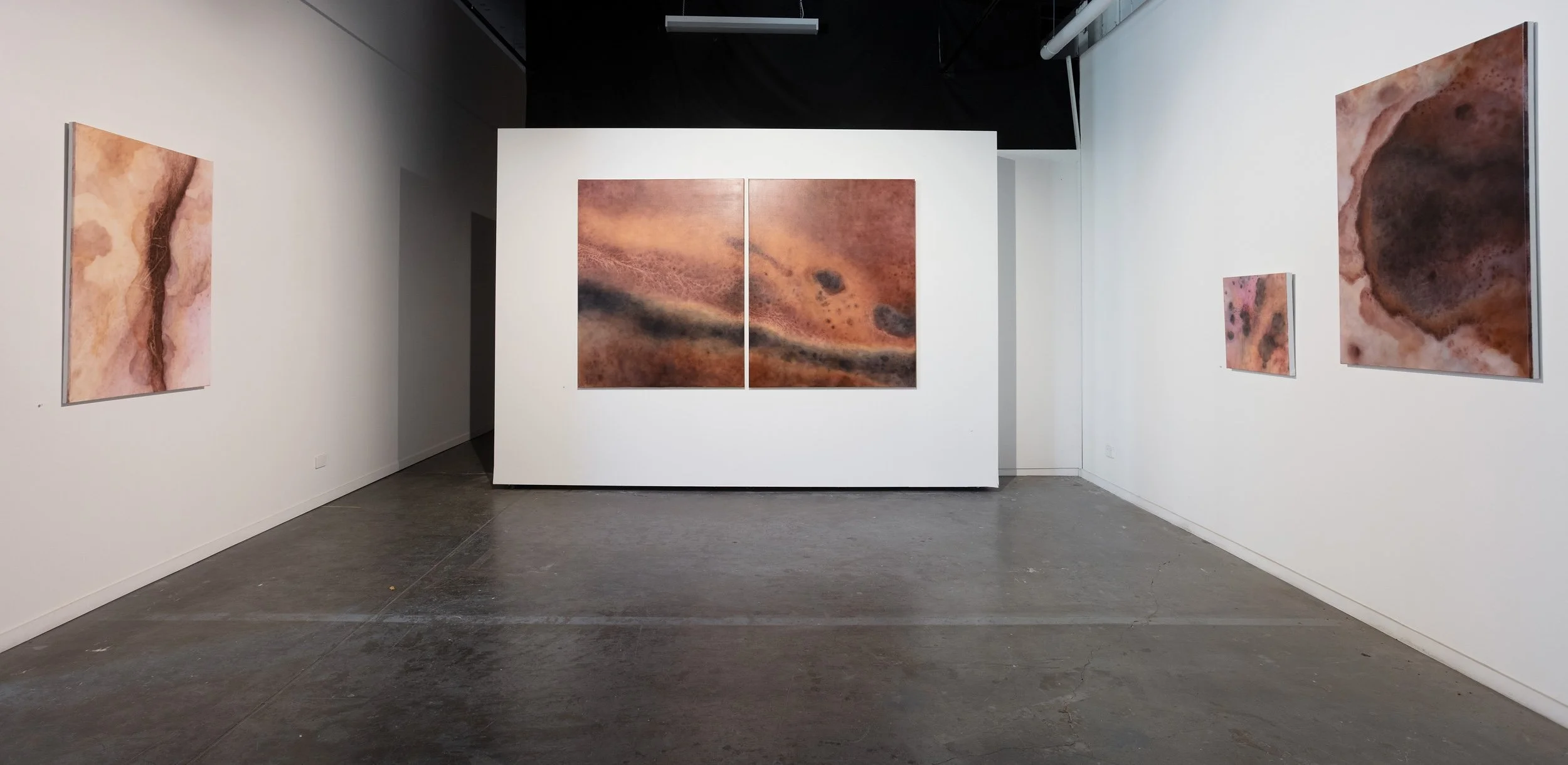 Echoes of Salt - Shirley Ploog - Parallel Projects 20262.jpg