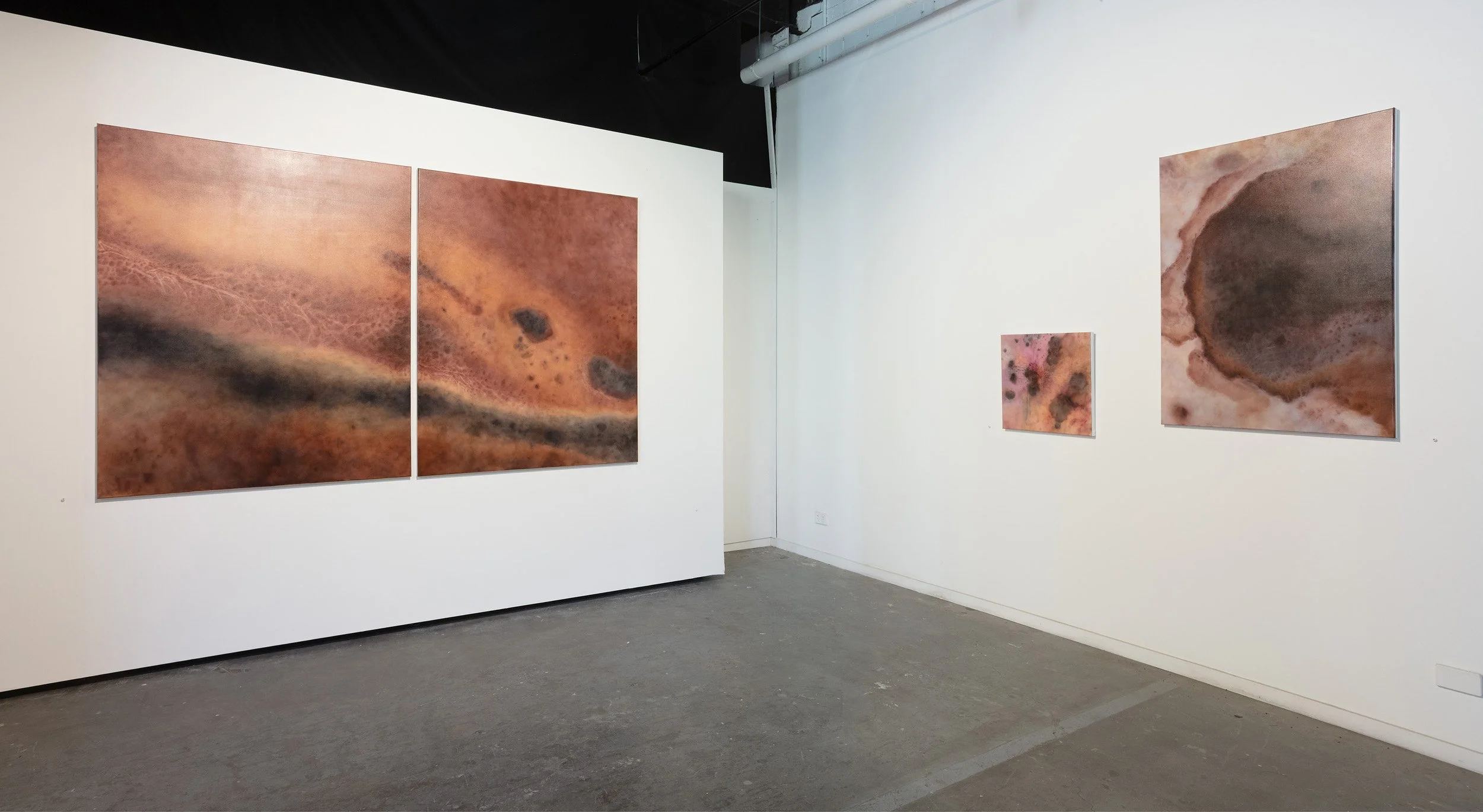 Echoes of Salt - Shirley Ploog - Parallel Projects 20261.jpg