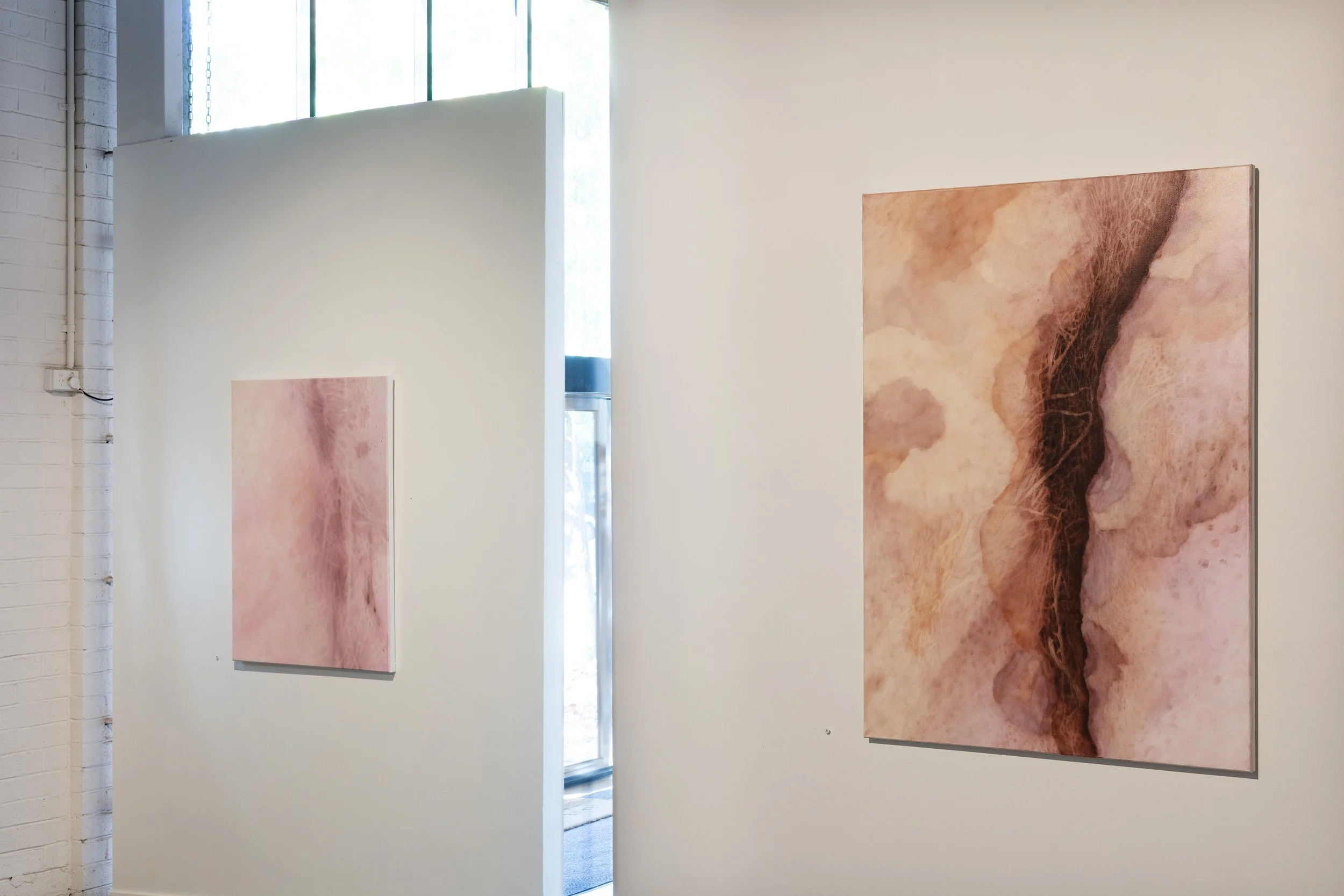 Echoes of Salt - Shirley Ploog - Parallel Projects 20267.jpg