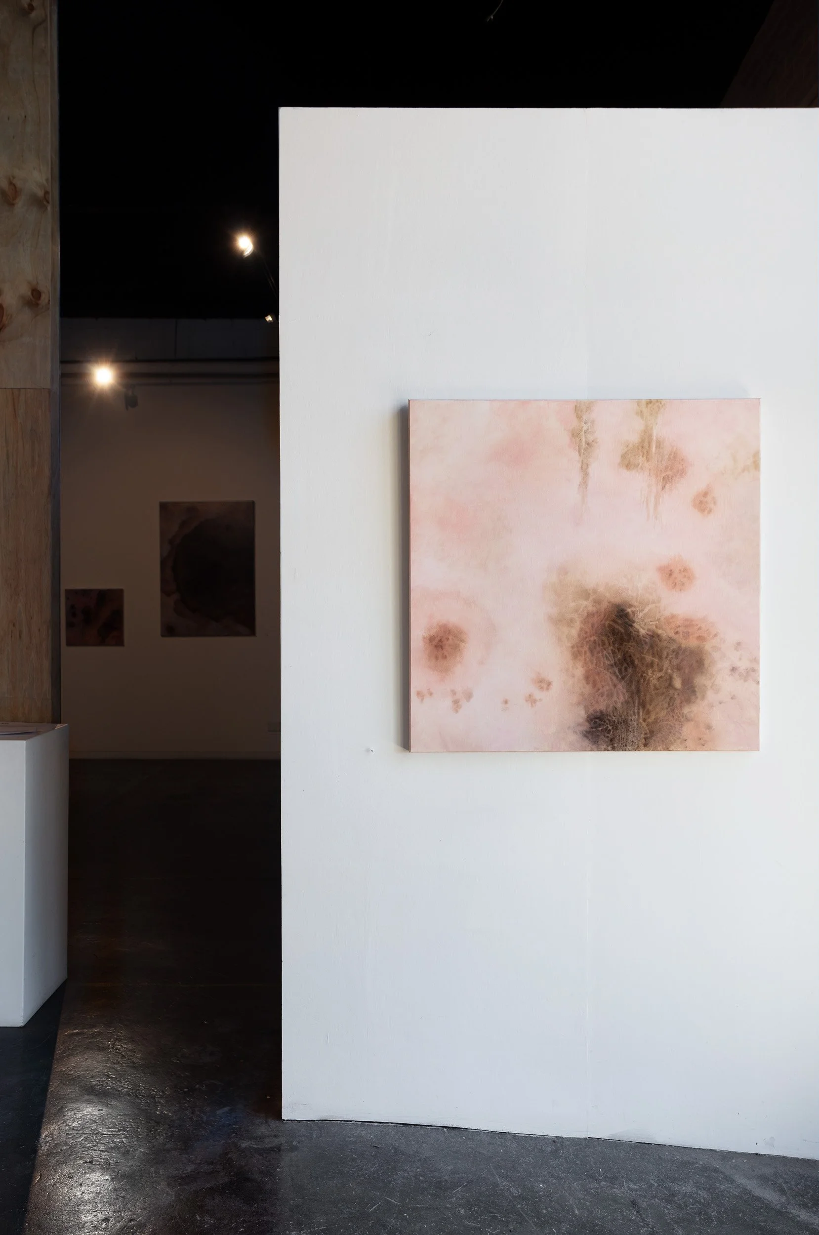 Echoes of Salt - Shirley Ploog - Parallel Projects 202610.jpg