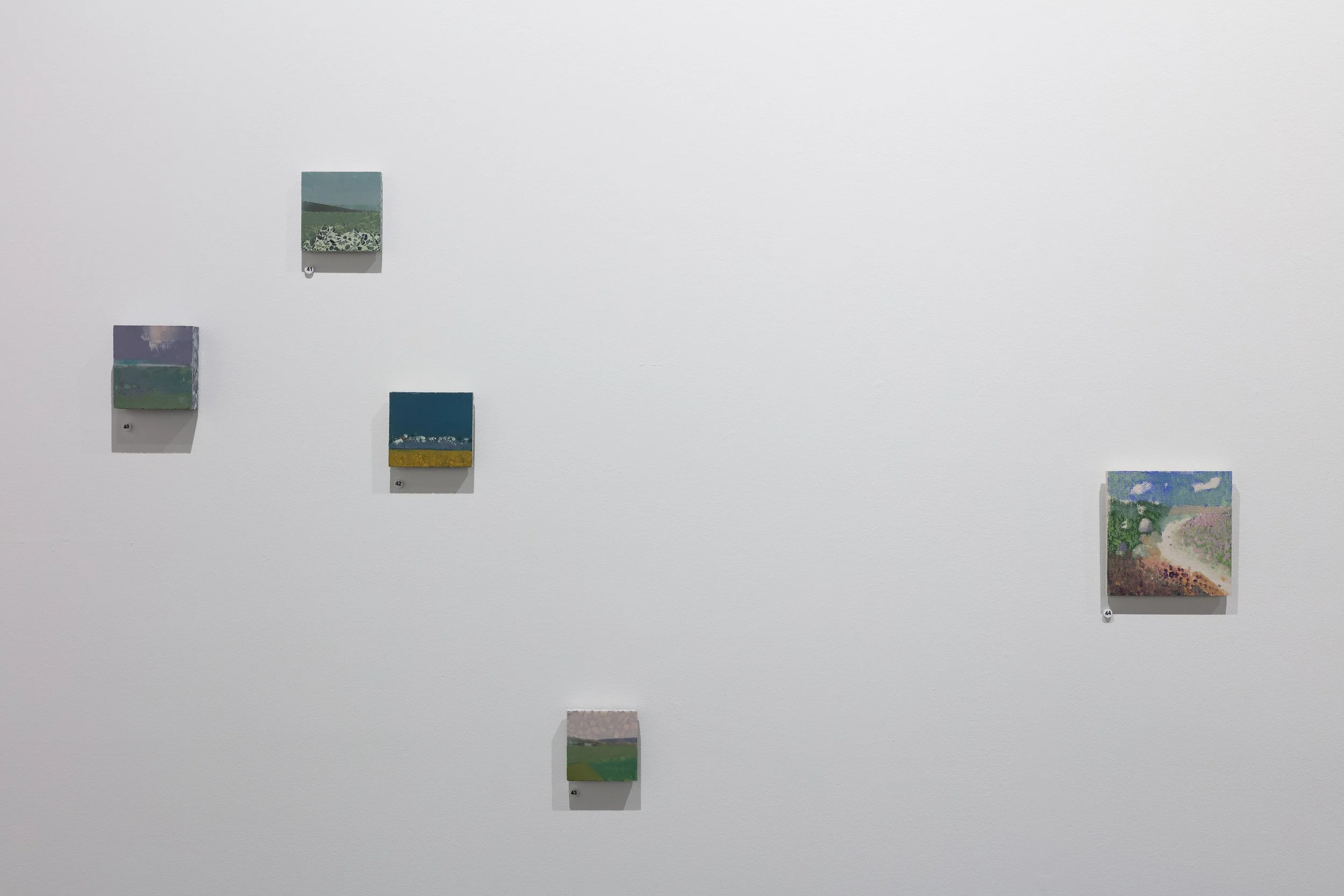 2025 LanaDaubermann-ParallelProjects-photograhy Narelle Wilson14.jpg