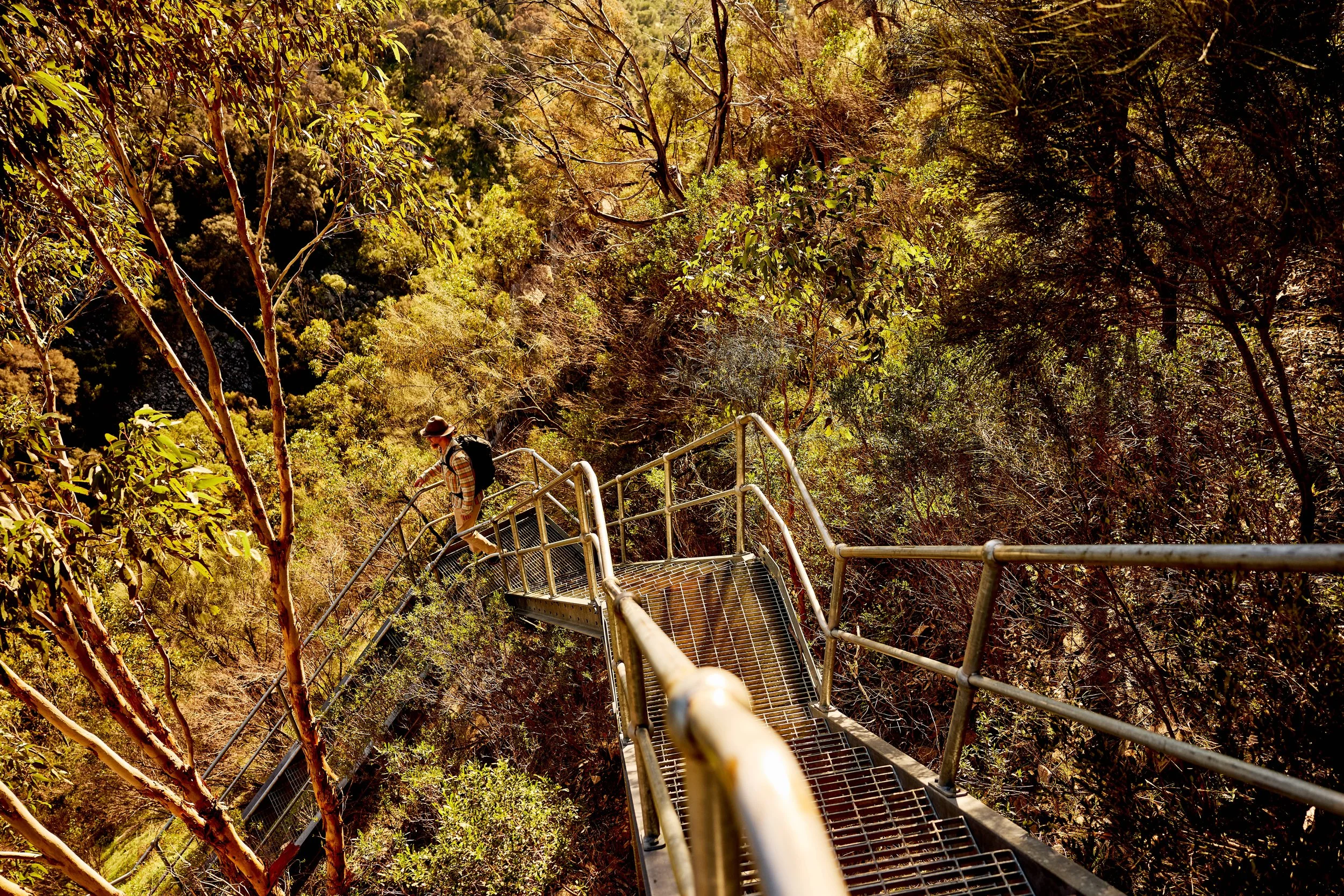 A person wearing a hat, plaid shirt, and backpack walking down a metal staircase surrounded by dense forest foliage.