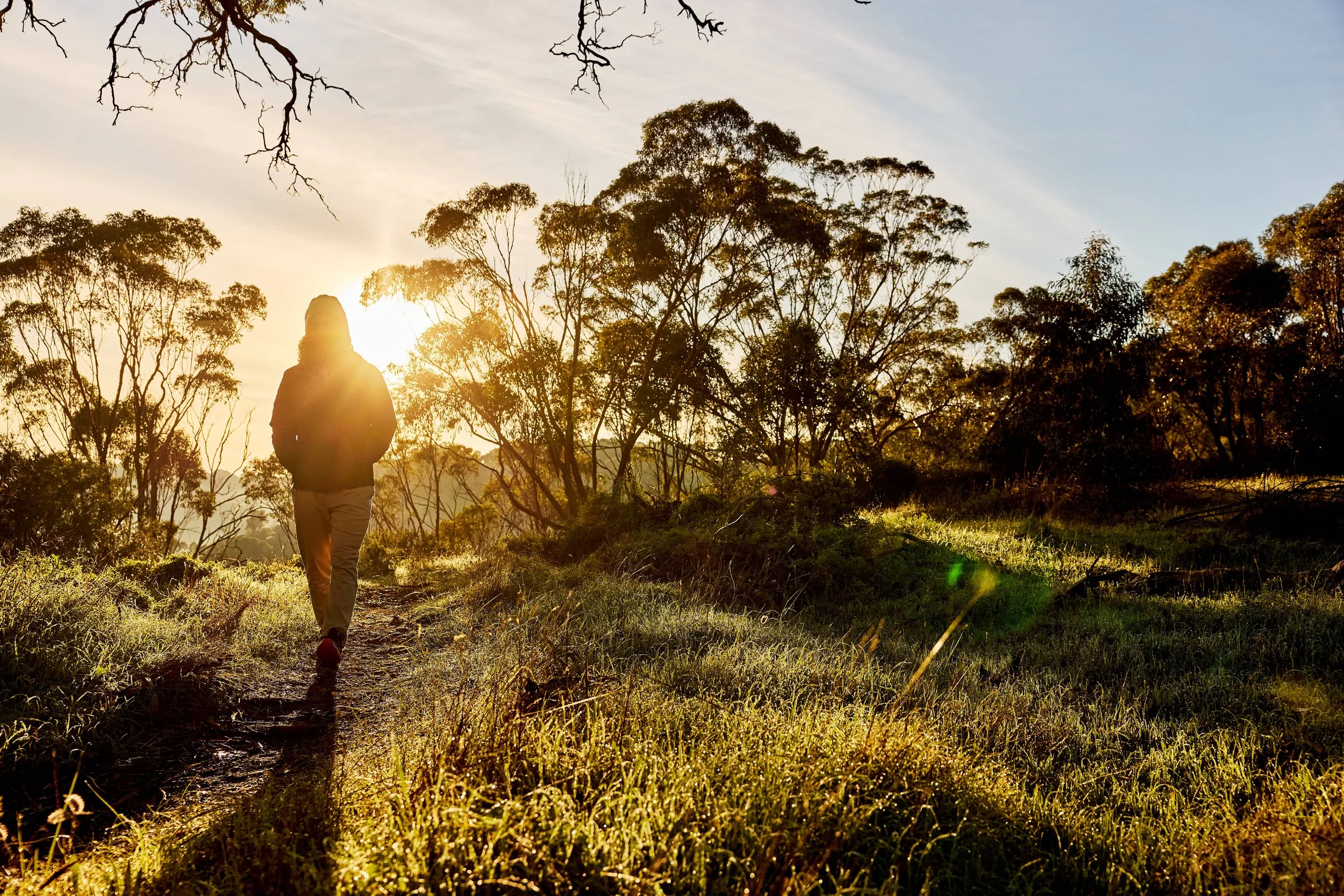 A person walking on a trail in a forest at sunset, with trees and sunlight filtering through the branches.