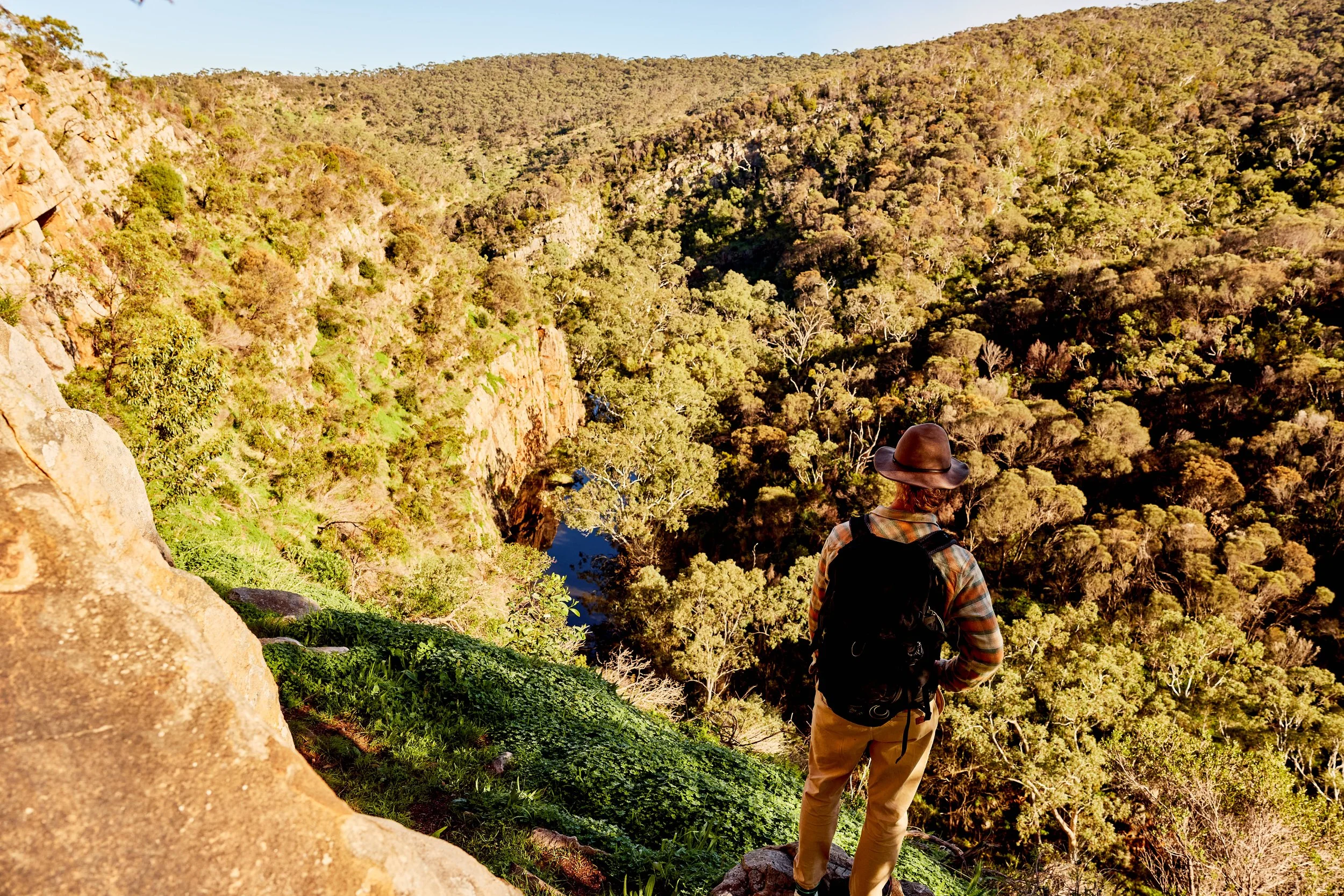 A person wearing a hat, plaid shirt, and backpack stands on a rocky ledge overlooking a lush green canyon with trees and a river at the bottom, under a clear blue sky.