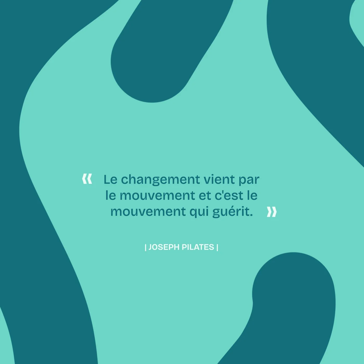 danypilates-citation-joseph-pilates-mouvement.jpg