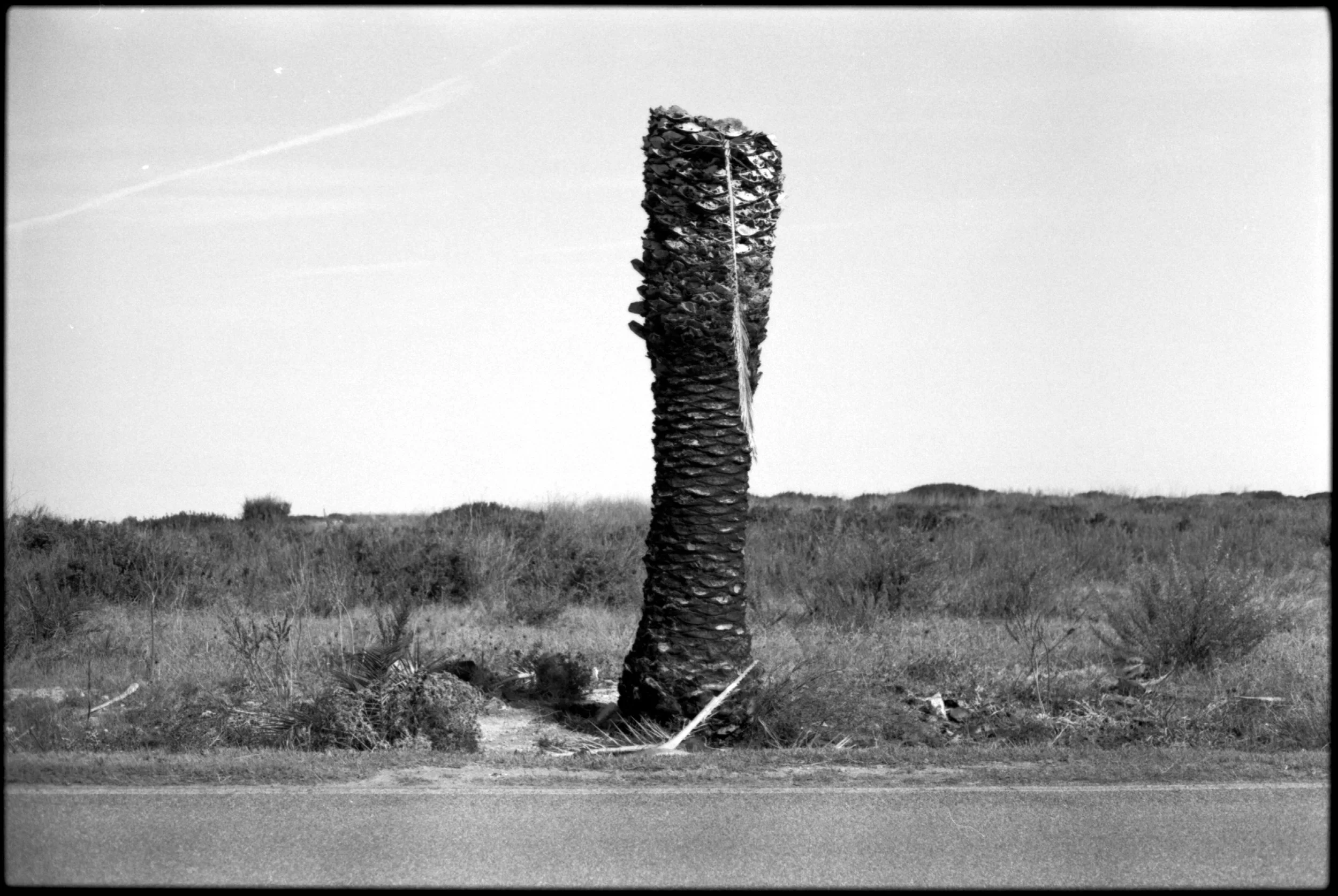 Opening Exhibitions &amp; analogic breakfast / A moment after / Oliver Kofler