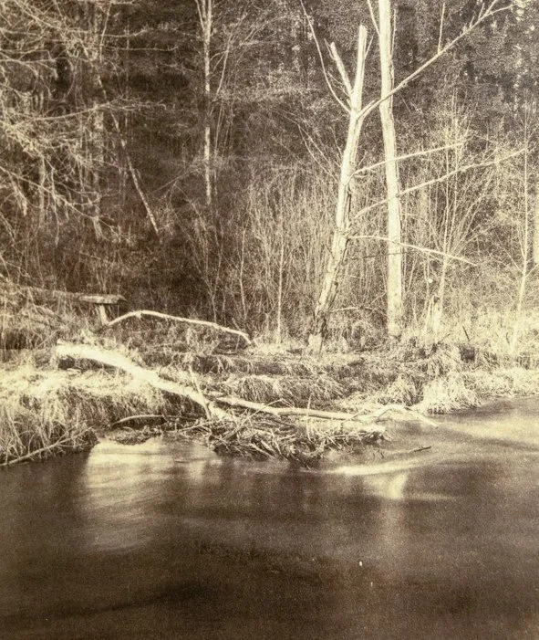 Workshop: Digital Negatives for alternative printing processes