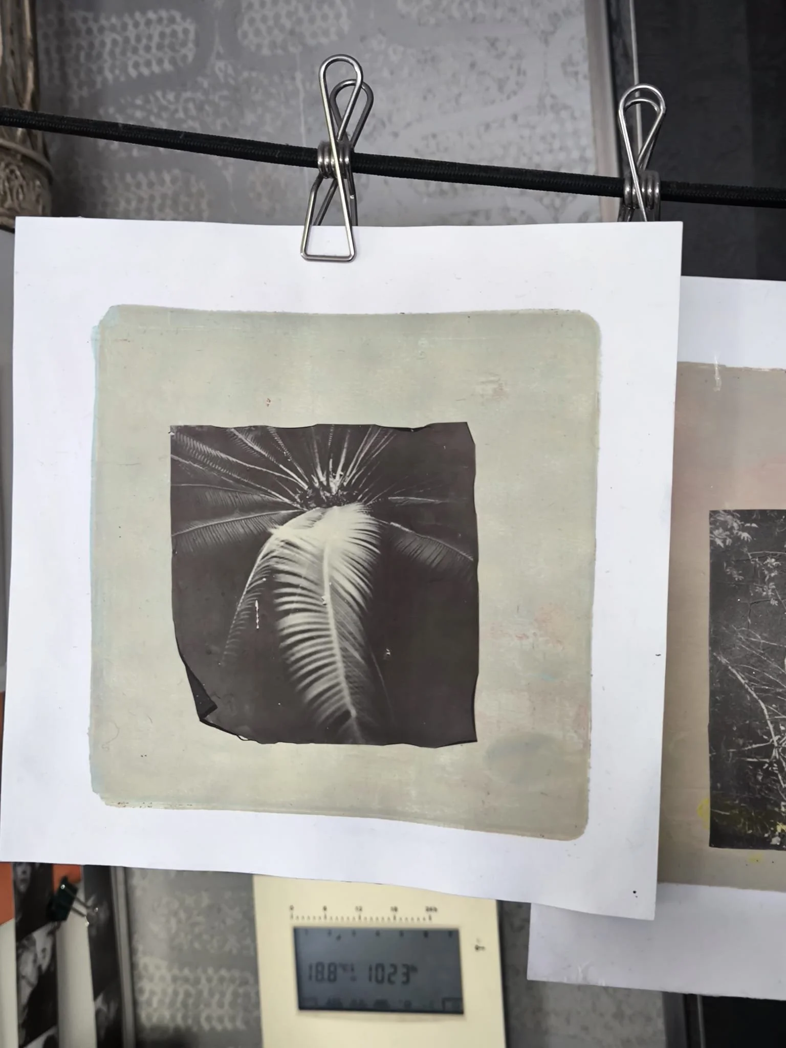 Kids Workshop / Polaroid Collage