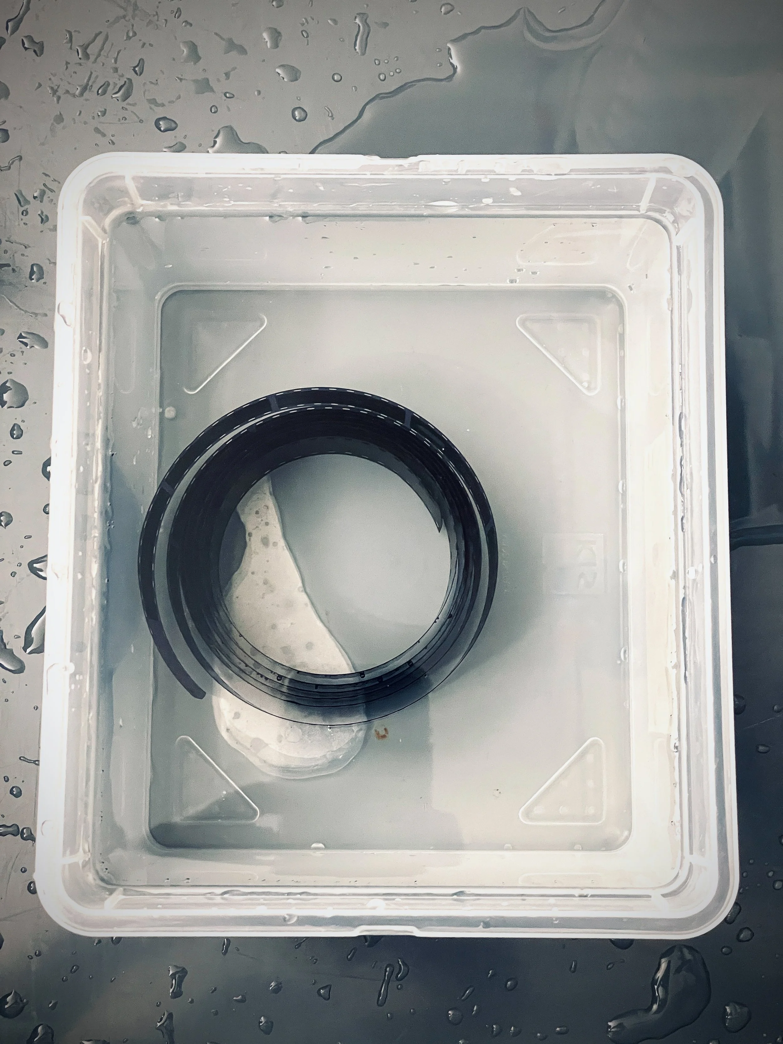 Workshop: "From Grain to Image – The Magic of Analogue Photography"