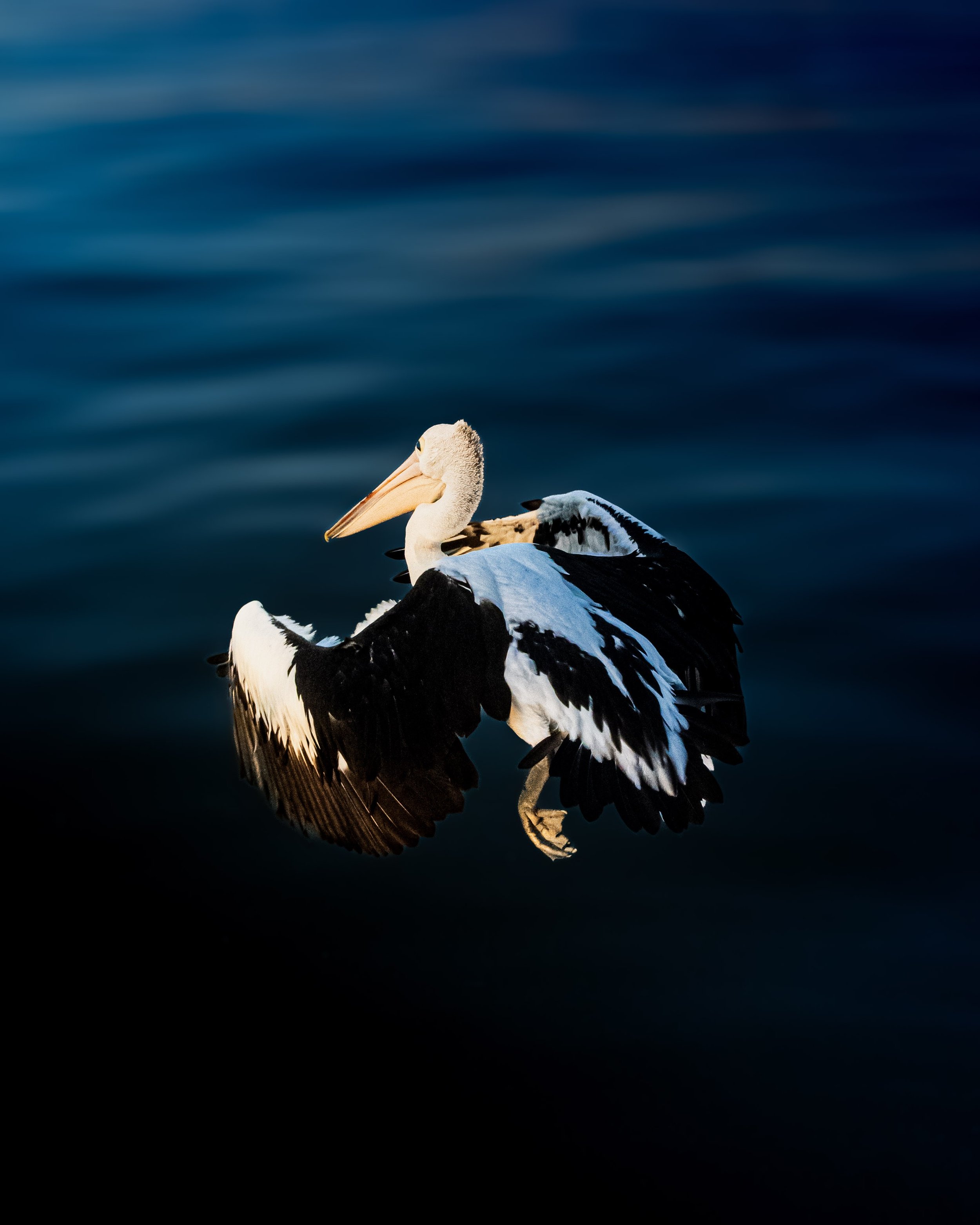 DSC_0561.jpg