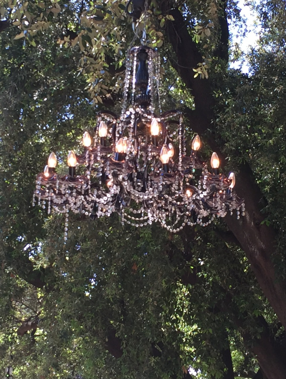 Chandelle suspendue en cristal, décorée de perles, accroché à un arbre avec un fond de branches et de feuilles.