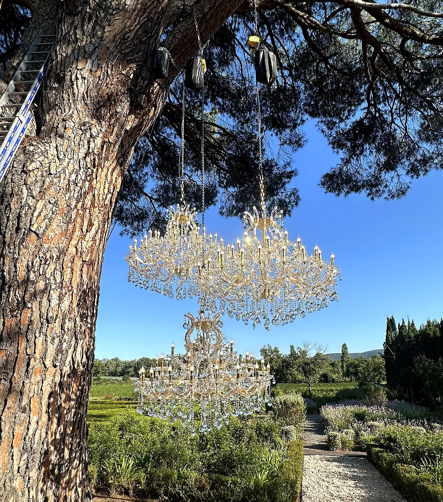 Un lustre en cristal suspendu à un arbre dans un jardin en plein air avec un ciel bleu clair.