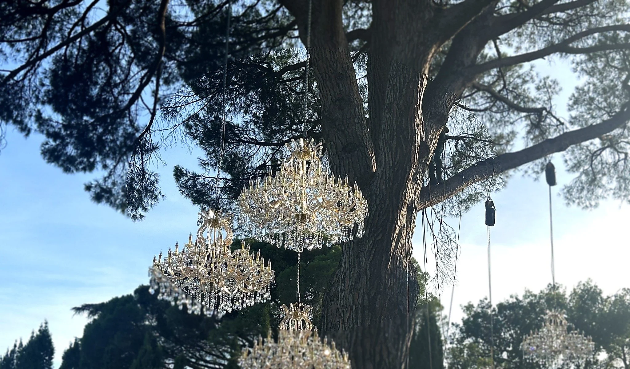 Chandeliers suspendus dans un arbre, entourés de branches et de feuilles, avec un ciel bleu en arrière-plan.