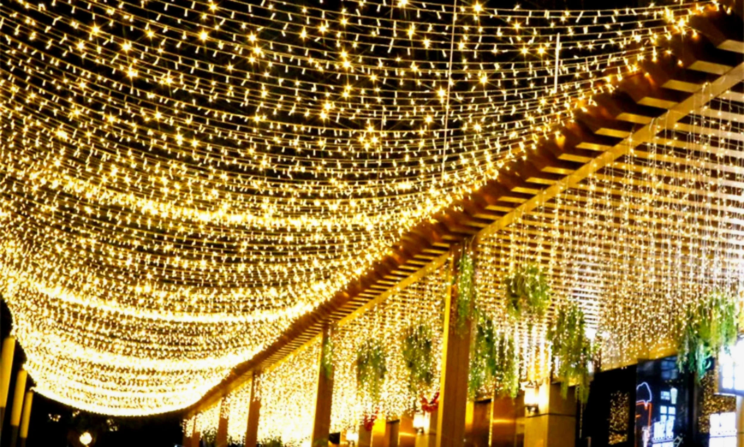 Jeu de lumières de Noël dorées suspendues au plafond, créant une ambiance festive.