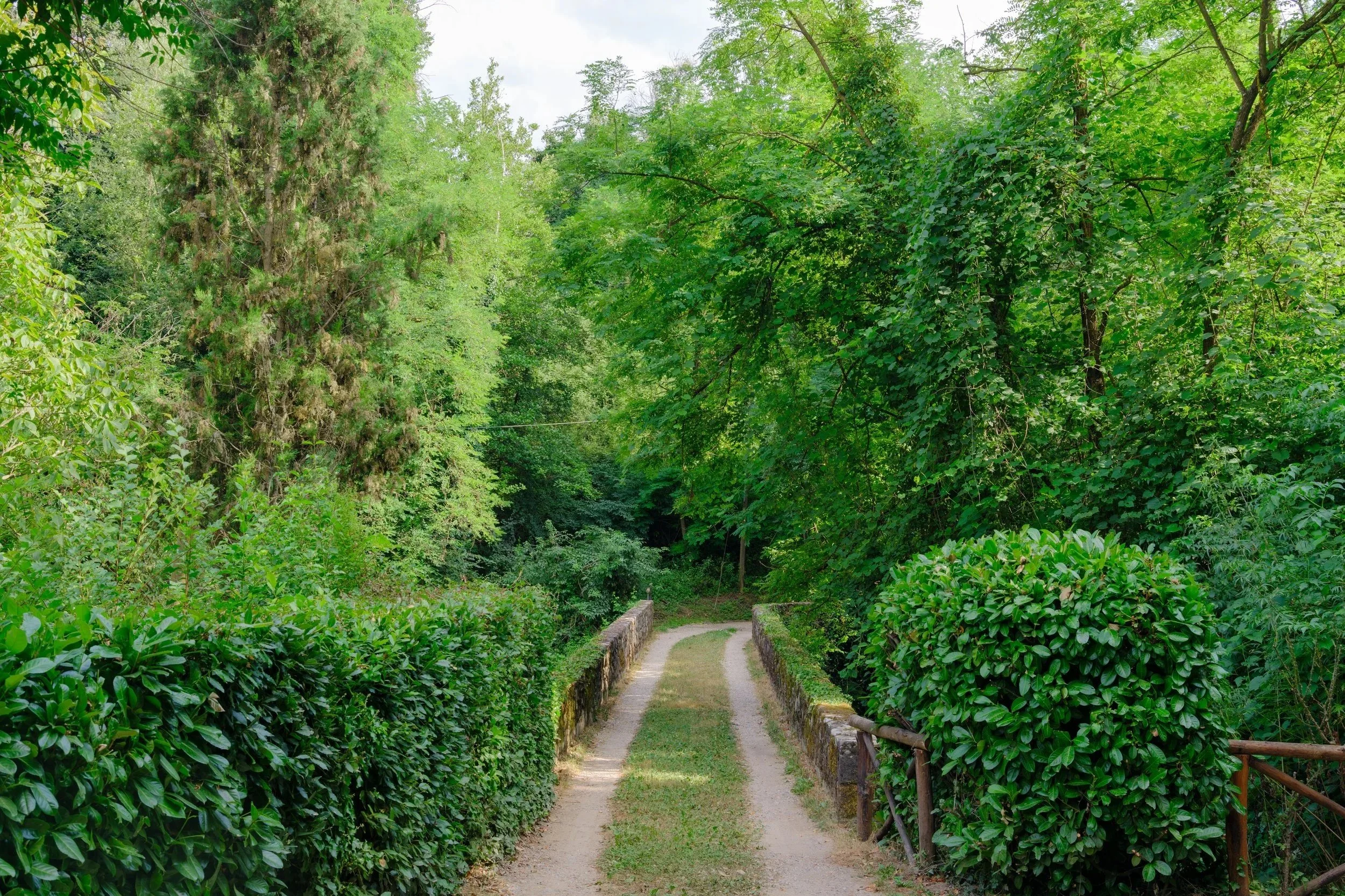 002_HFP4560.jpg